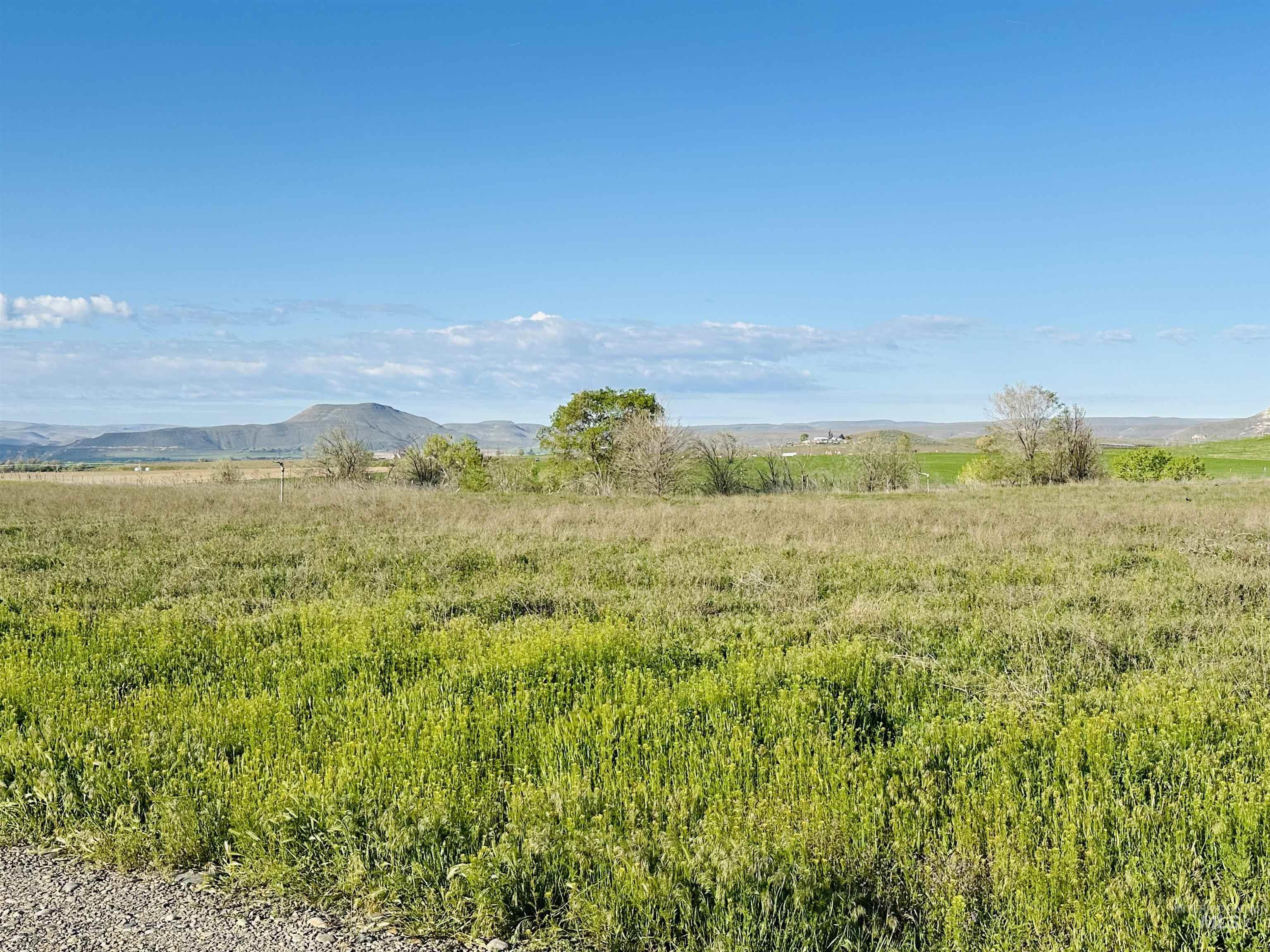 1049 Grand Ave, Nyssa, Oregon 97913, 5 Bedrooms, 3 Bathrooms, Residential For Sale, Price $995,000, 98983921