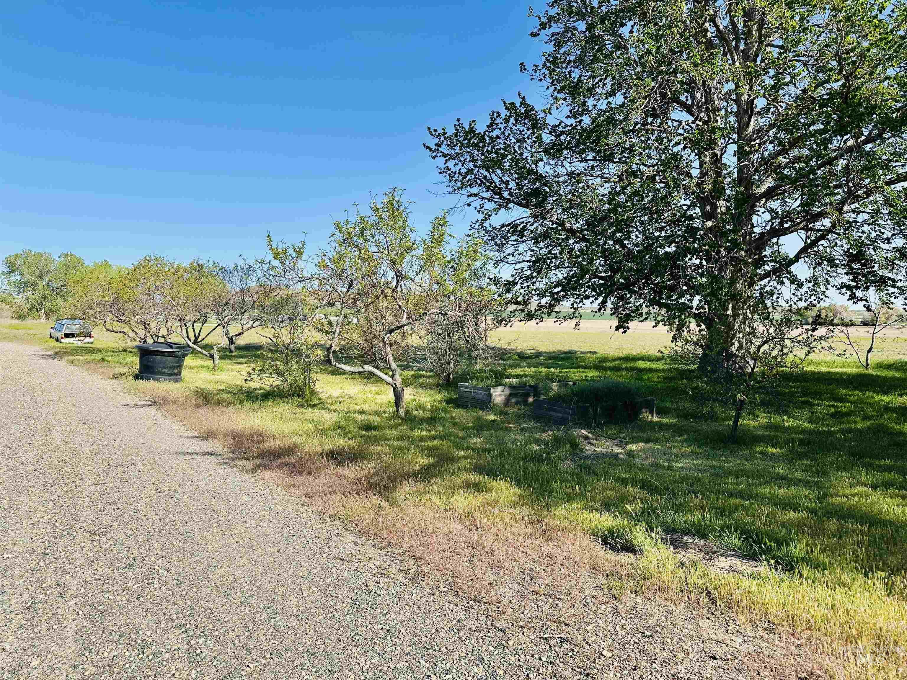 1049 Grand Ave, Nyssa, Oregon 97913, 5 Bedrooms, 3 Bathrooms, Residential For Sale, Price $995,000, 98983921