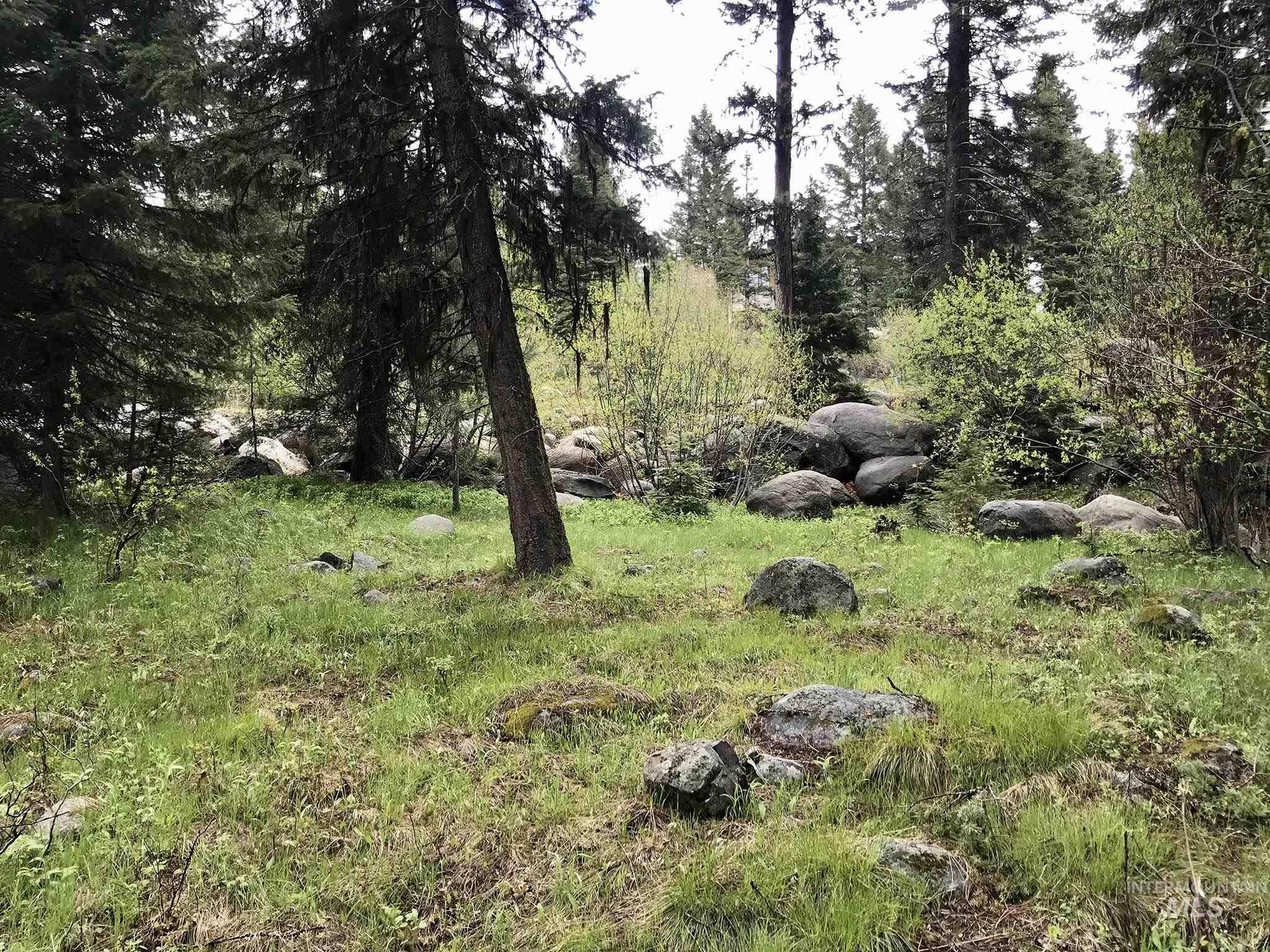 1160 Aspen Ridge Lane, McCall, Idaho 83638, Land For Sale, Price $169,500,MLS 98983944