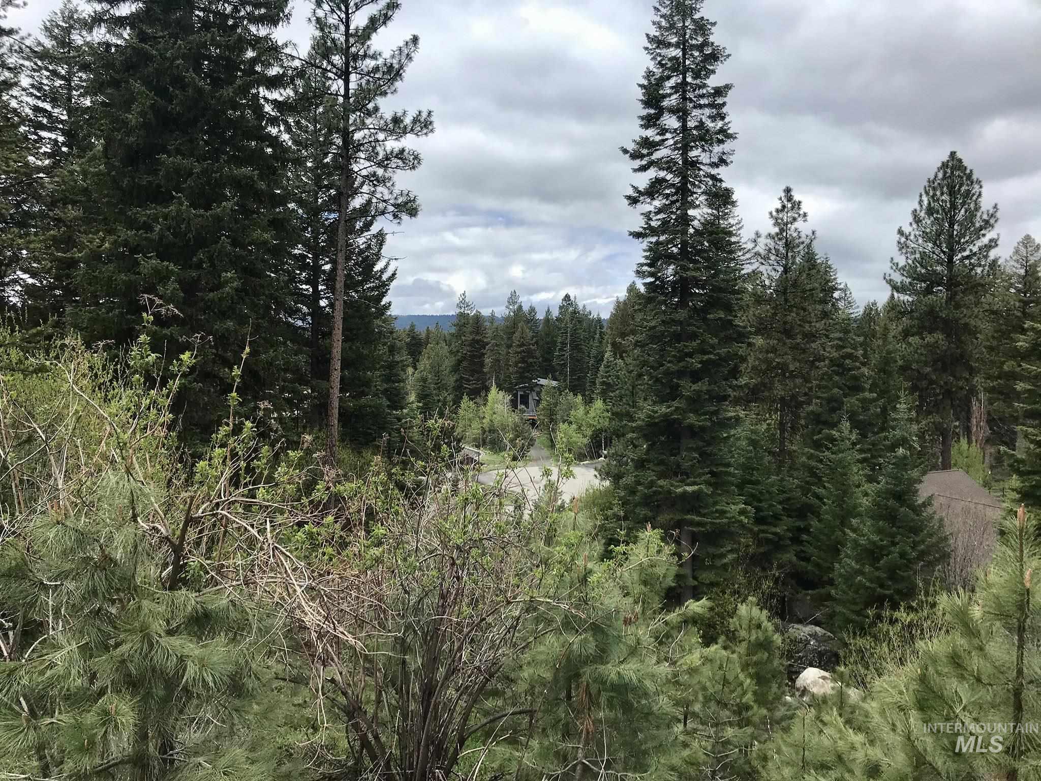 1160 Aspen Ridge Lane, McCall, Idaho 83638, Land For Sale, Price $169,500,MLS 98983944