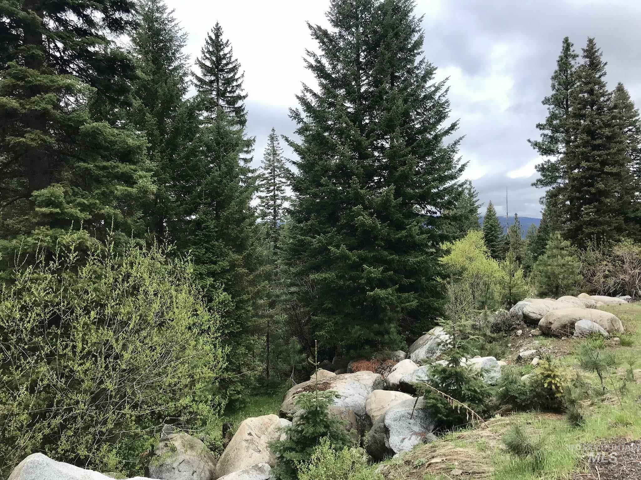 1160 Aspen Ridge Lane, McCall, Idaho 83638, Land For Sale, Price $169,500,MLS 98983944