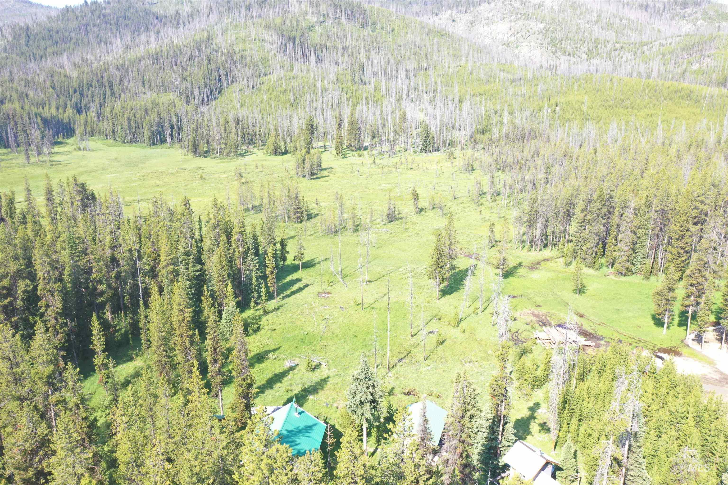 24640 Warren Wagon, Secesh, Idaho 83638, 2 Bedrooms, 1 Bathroom, Residential For Sale, Price $199,000, 98983985