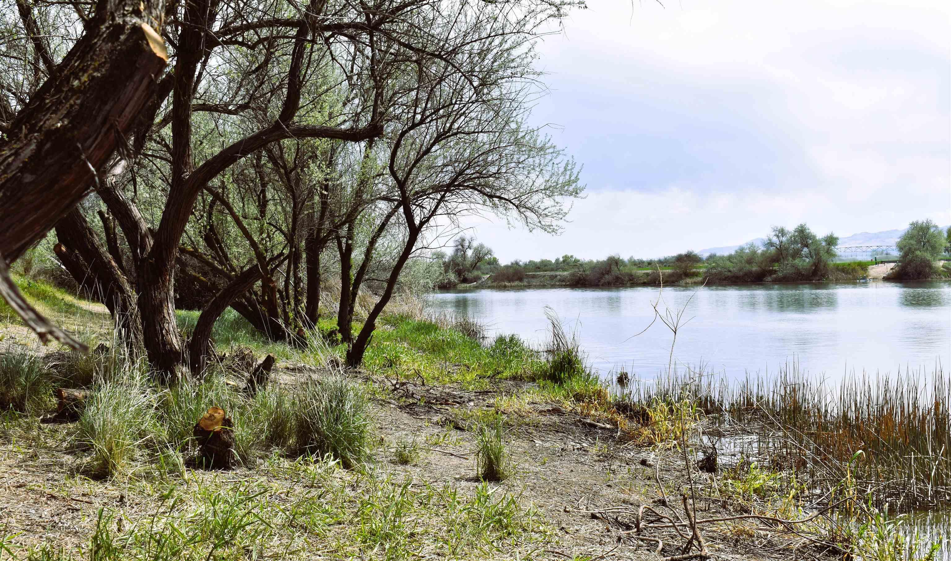 25555 Clubhouse Court, Wilder, Idaho 83676, Land For Sale, Price $524,900,MLS 98983990