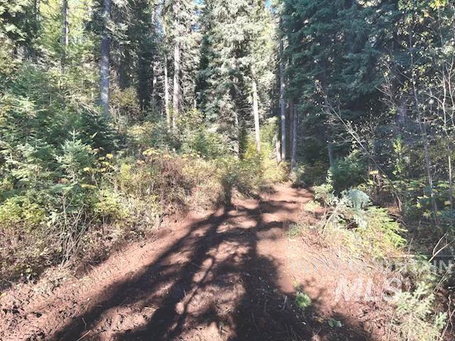 1601 Bear Trail Loop, Donnelly, Idaho 83615, Land For Sale, Price $189,000,MLS 98983999