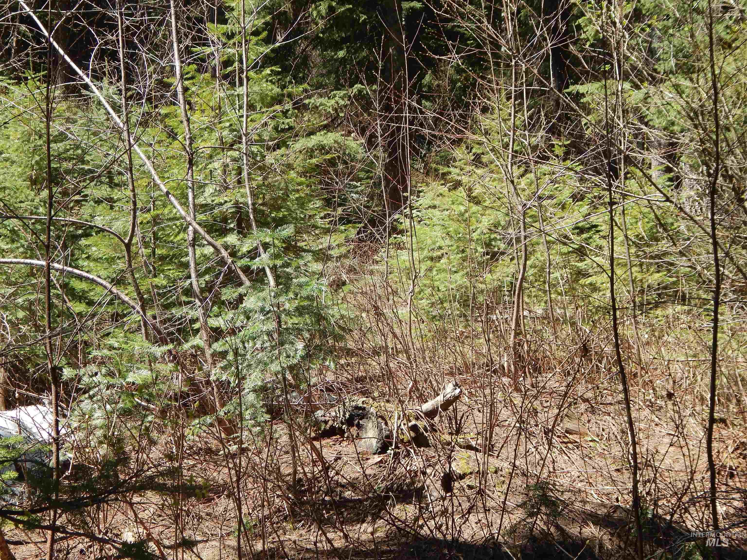 1601 Bear Trail Loop, Donnelly, Idaho 83615, Land For Sale, Price $199,000,MLS 98983999