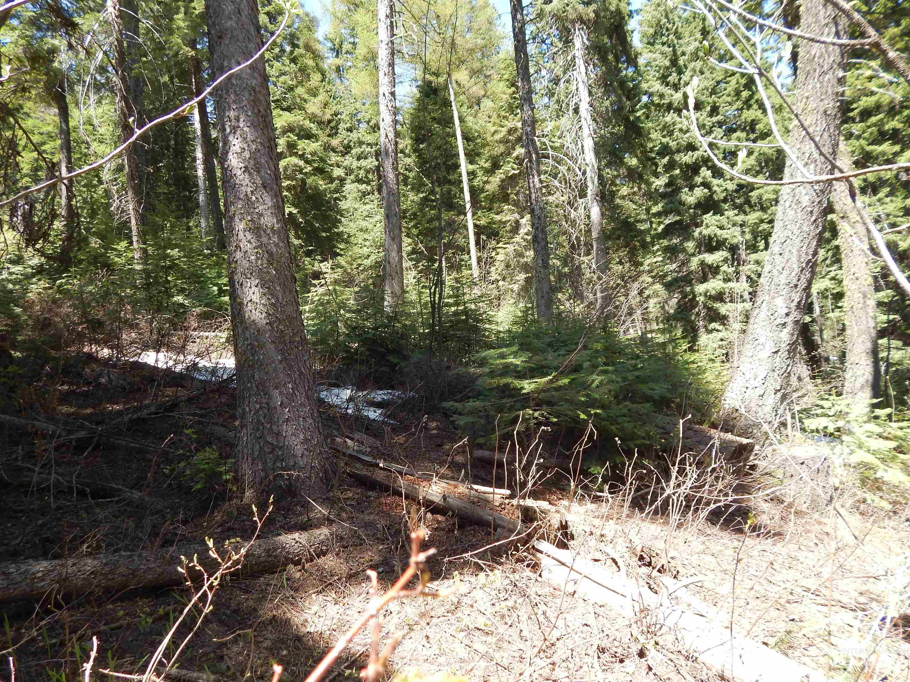 1601 Bear Trail Loop, Donnelly, Idaho 83615, Land For Sale, Price $199,000,MLS 98983999