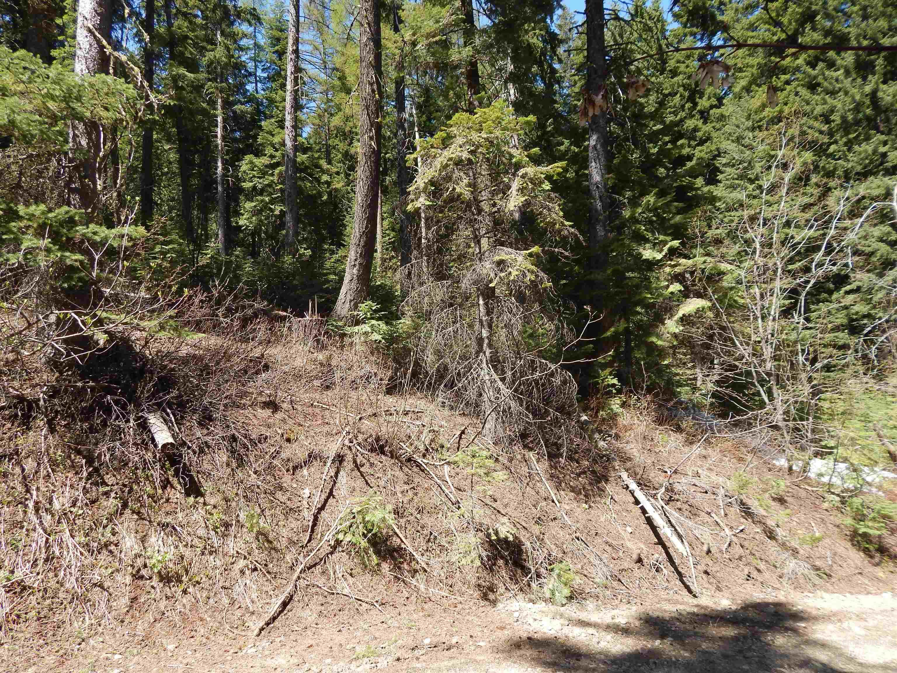1601 Bear Trail Loop, Donnelly, Idaho 83615, Land For Sale, Price $189,000,MLS 98983999