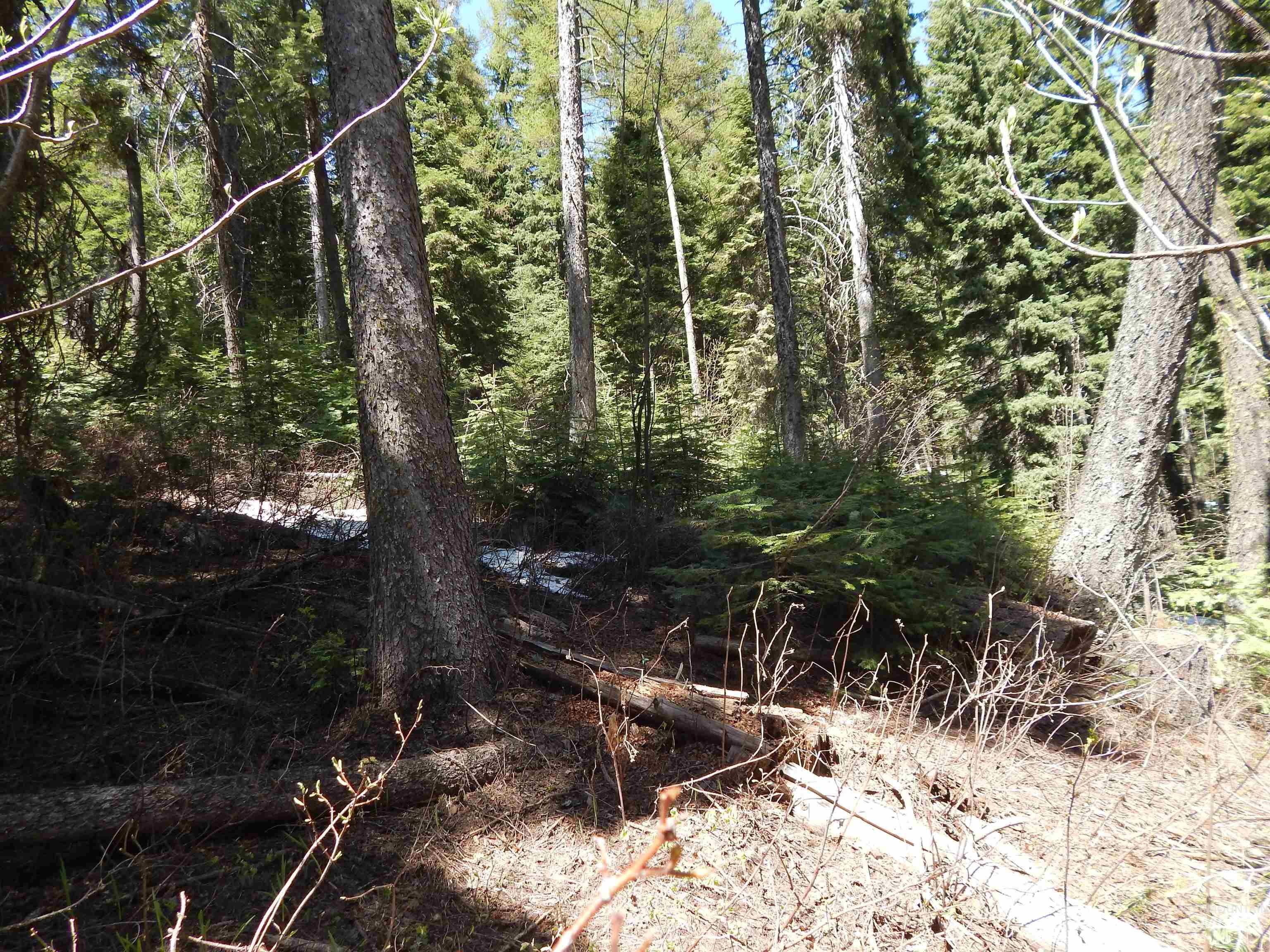 1601 Bear Trail Loop, Donnelly, Idaho 83615, Land For Sale, Price $189,000,MLS 98983999