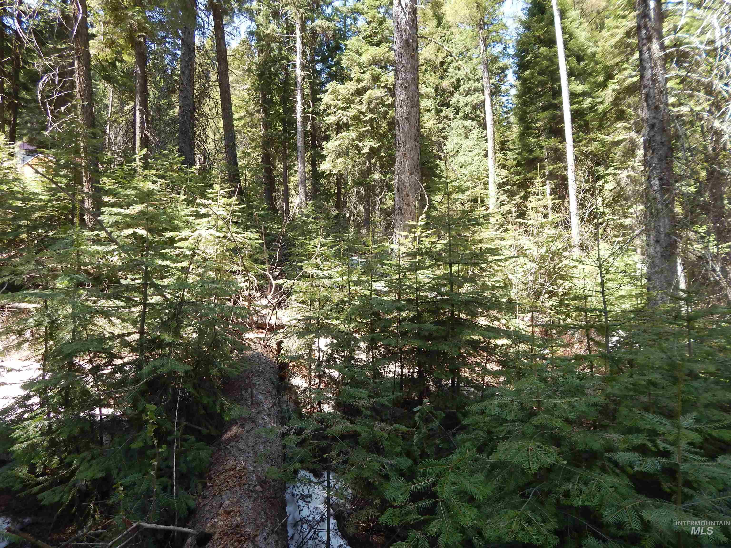 1601 Bear Trail Loop, Donnelly, Idaho 83615, Land For Sale, Price $199,000,MLS 98983999