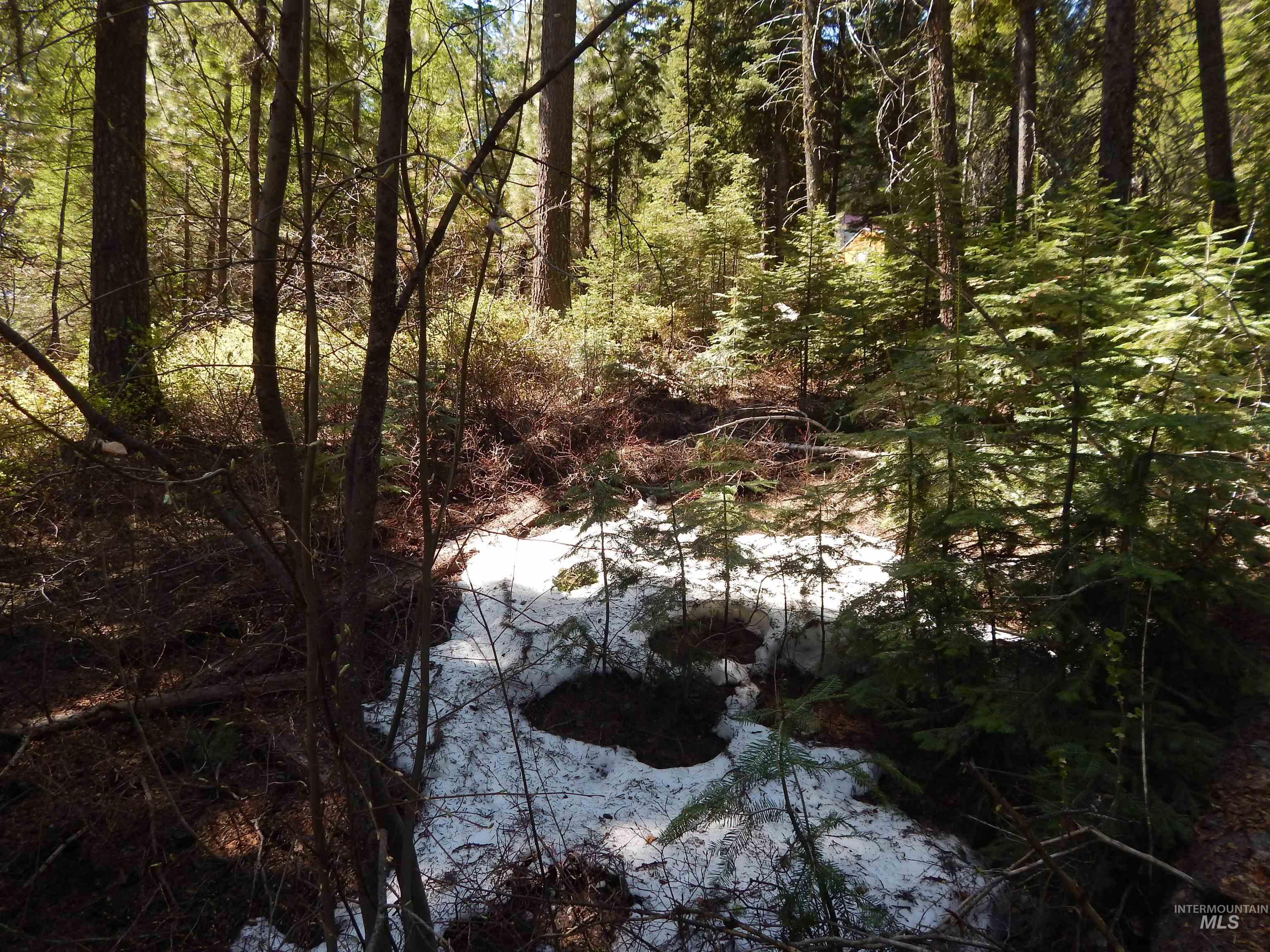 1601 Bear Trail Loop, Donnelly, Idaho 83615, Land For Sale, Price $199,000,MLS 98983999