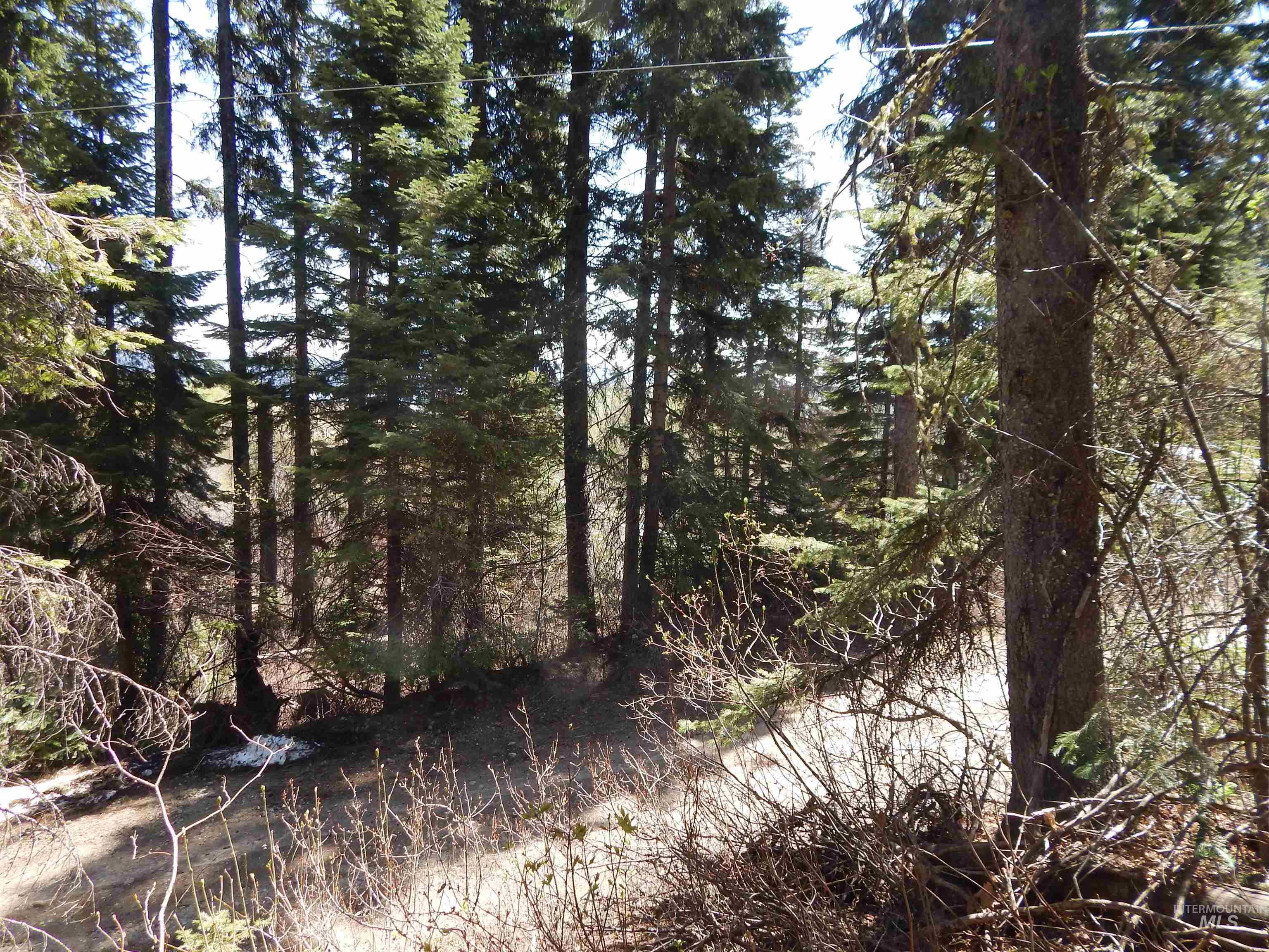 1601 Bear Trail Loop, Donnelly, Idaho 83615, Land For Sale, Price $189,000,MLS 98983999
