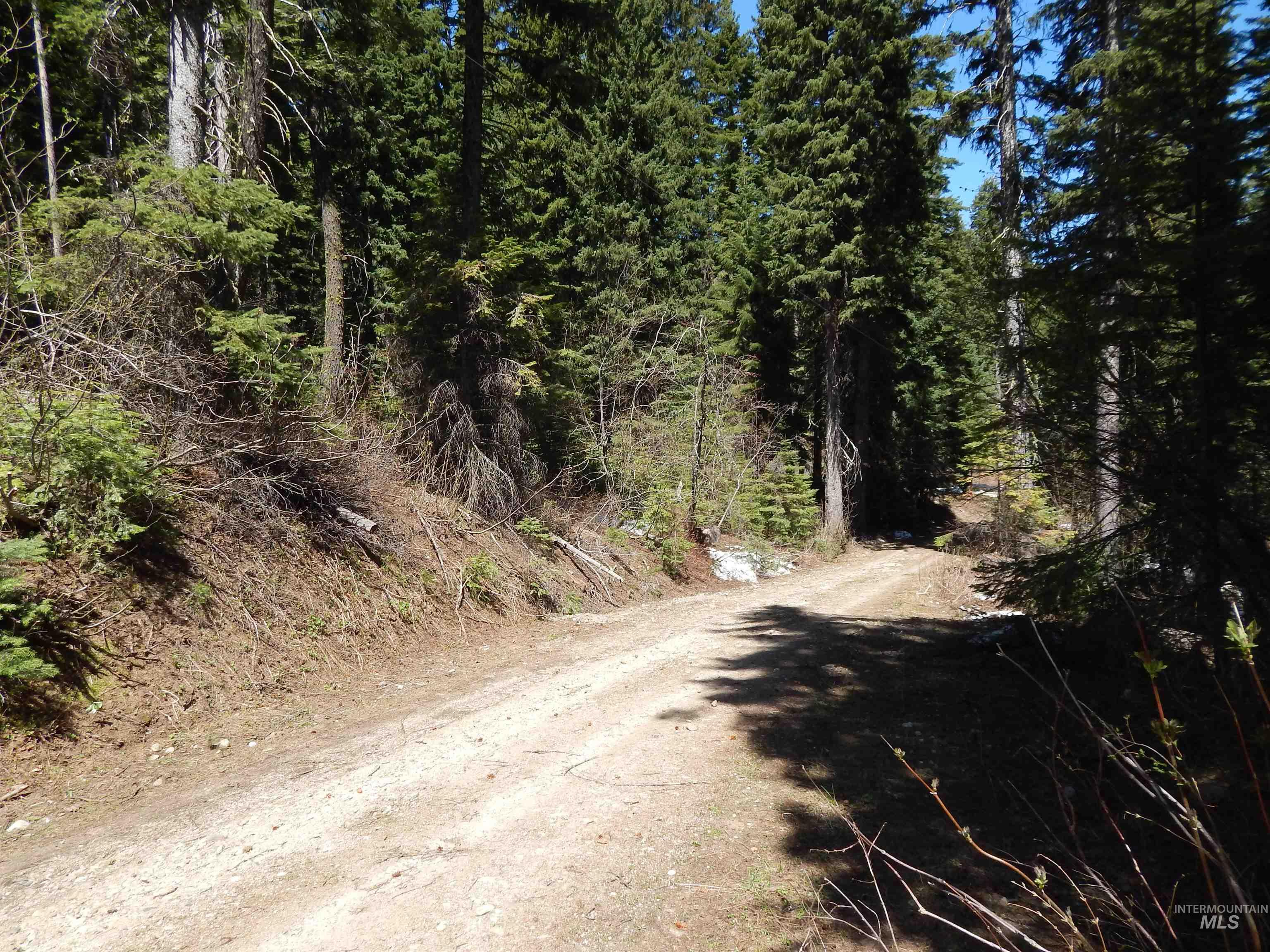 1601 Bear Trail Loop, Donnelly, Idaho 83615, Land For Sale, Price $199,000,MLS 98983999