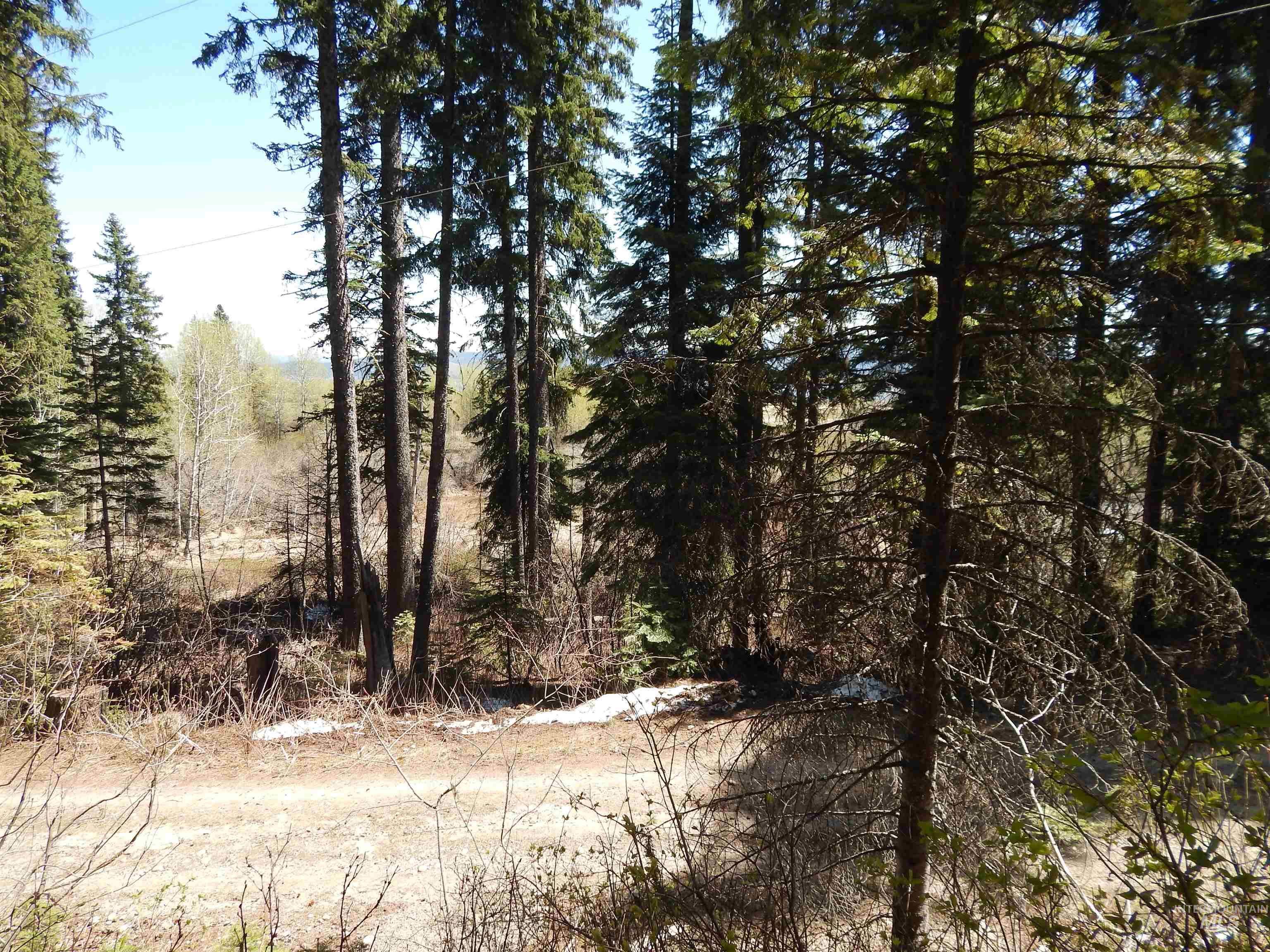 1601 Bear Trail Loop, Donnelly, Idaho 83615, Land For Sale, Price $189,000,MLS 98983999