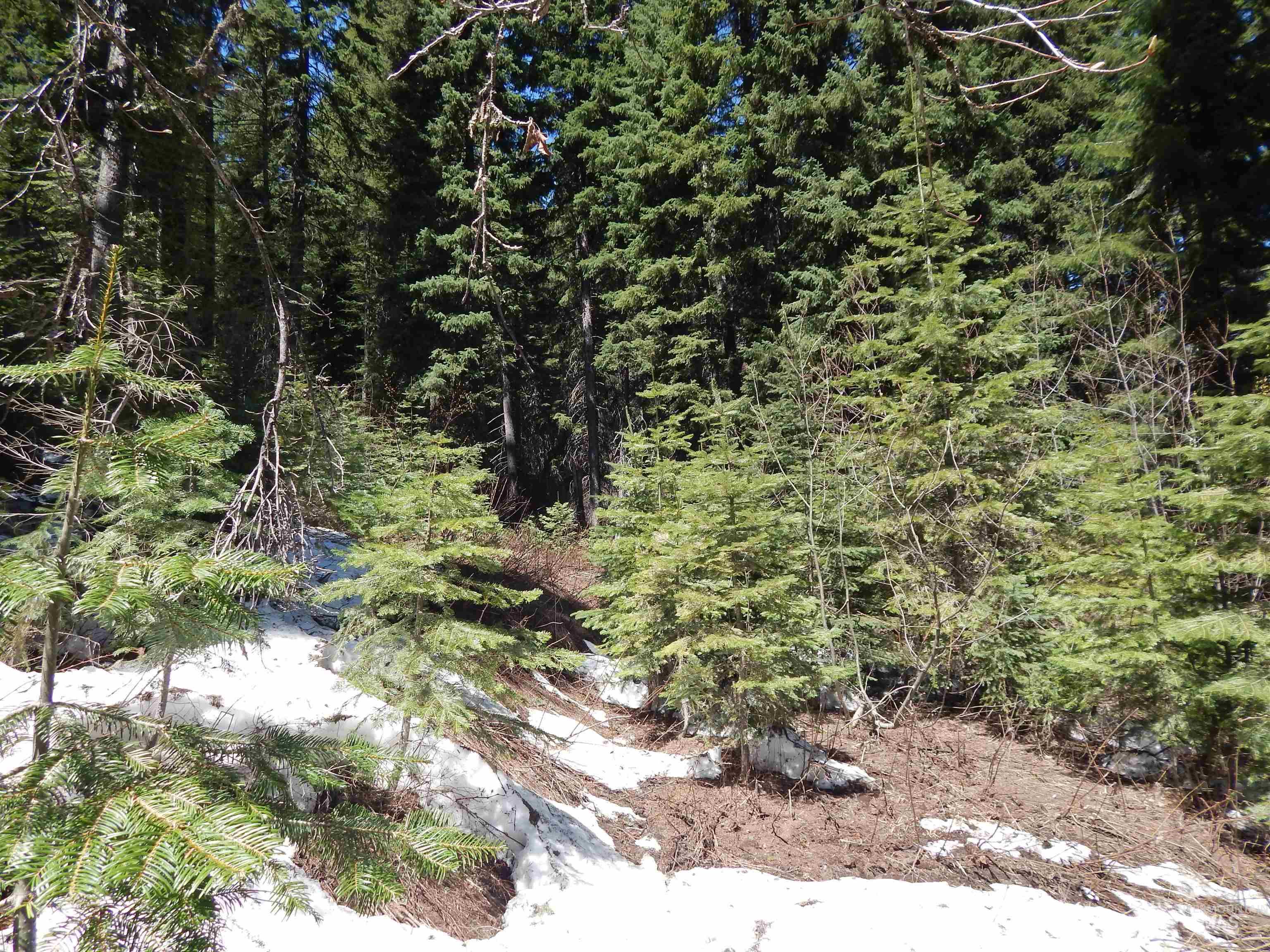 1601 Bear Trail Loop, Donnelly, Idaho 83615, Land For Sale, Price $199,000,MLS 98983999