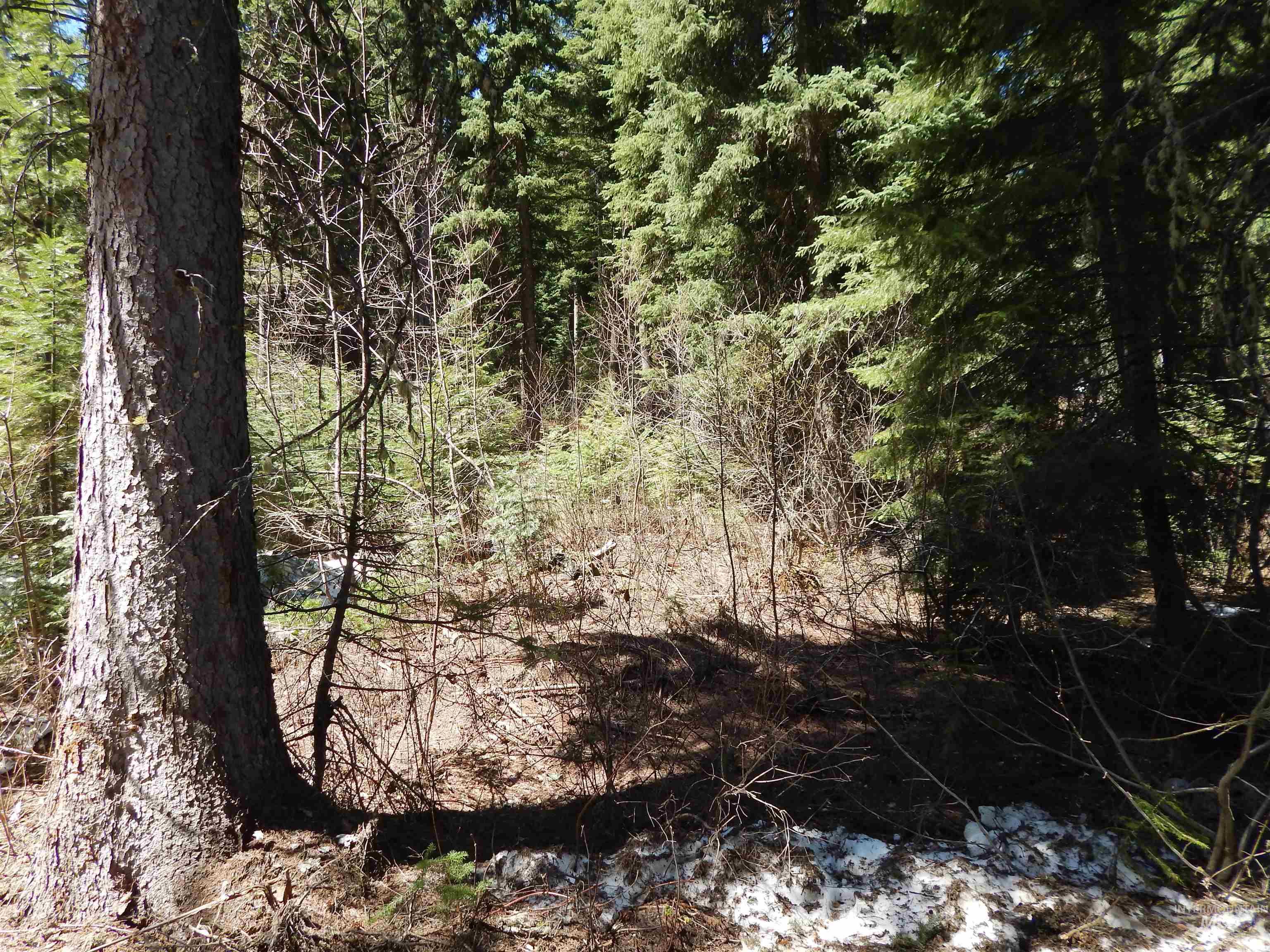1601 Bear Trail Loop, Donnelly, Idaho 83615, Land For Sale, Price $199,000,MLS 98983999