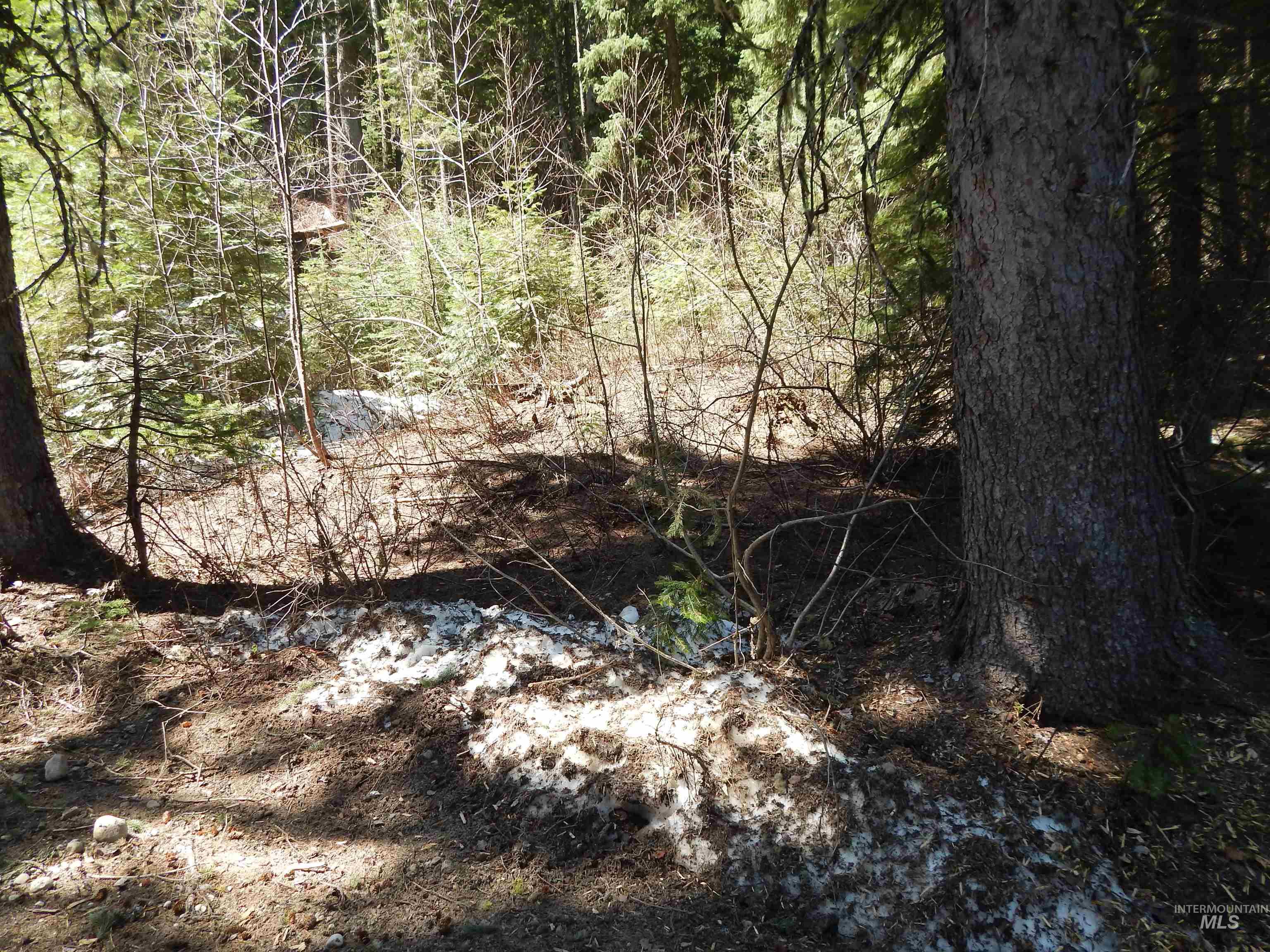 1601 Bear Trail Loop, Donnelly, Idaho 83615, Land For Sale, Price $199,000,MLS 98983999