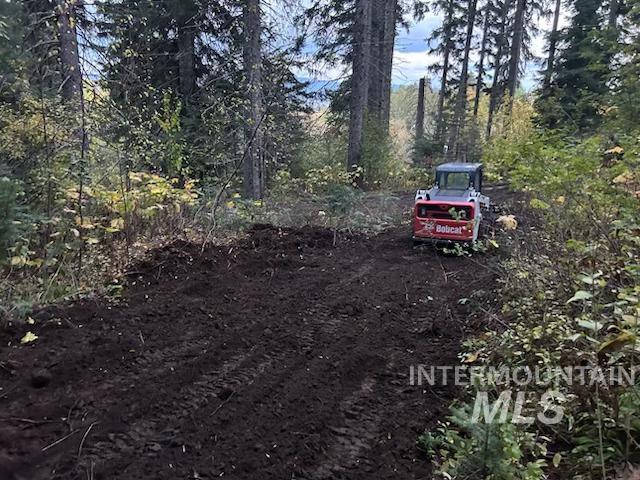 1601 Bear Trail Loop, Donnelly, Idaho 83615, Land For Sale, Price $199,000,MLS 98983999
