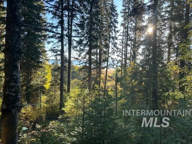 1601 Bear Trail Loop, Donnelly, Idaho 83615, Land For Sale, Price $189,000,MLS 98983999
