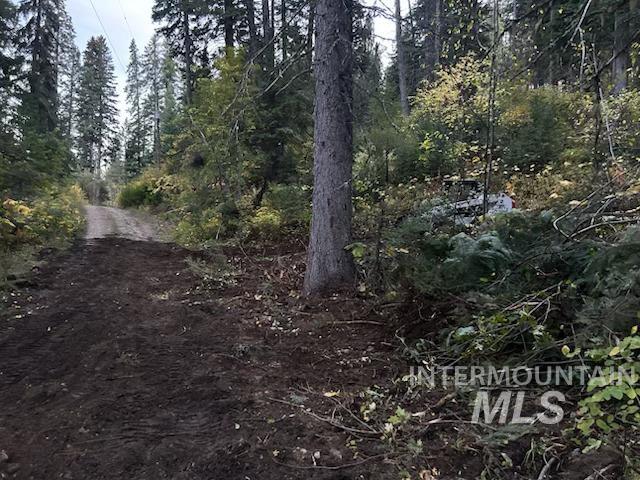1601 Bear Trail Loop, Donnelly, Idaho 83615, Land For Sale, Price $199,000,MLS 98983999