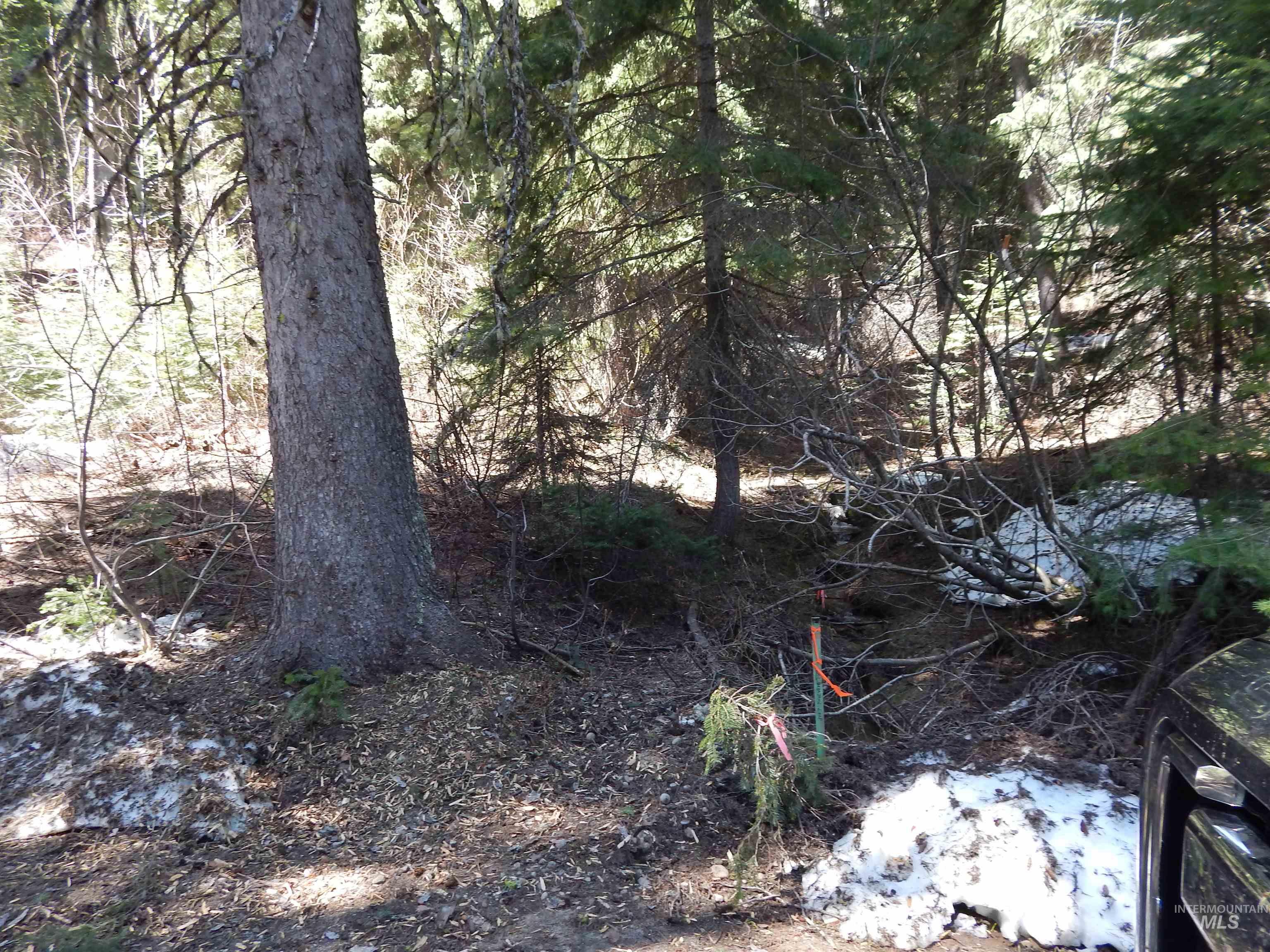 1601 Bear Trail Loop, Donnelly, Idaho 83615, Land For Sale, Price $189,000,MLS 98983999