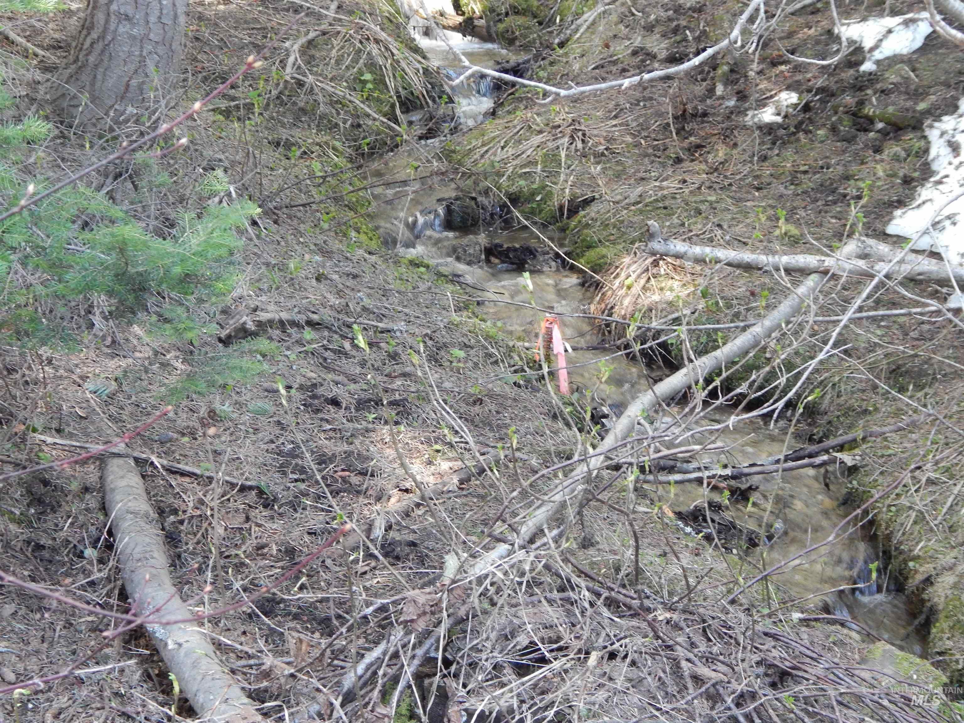 1601 Bear Trail Loop, Donnelly, Idaho 83615, Land For Sale, Price $199,000,MLS 98983999