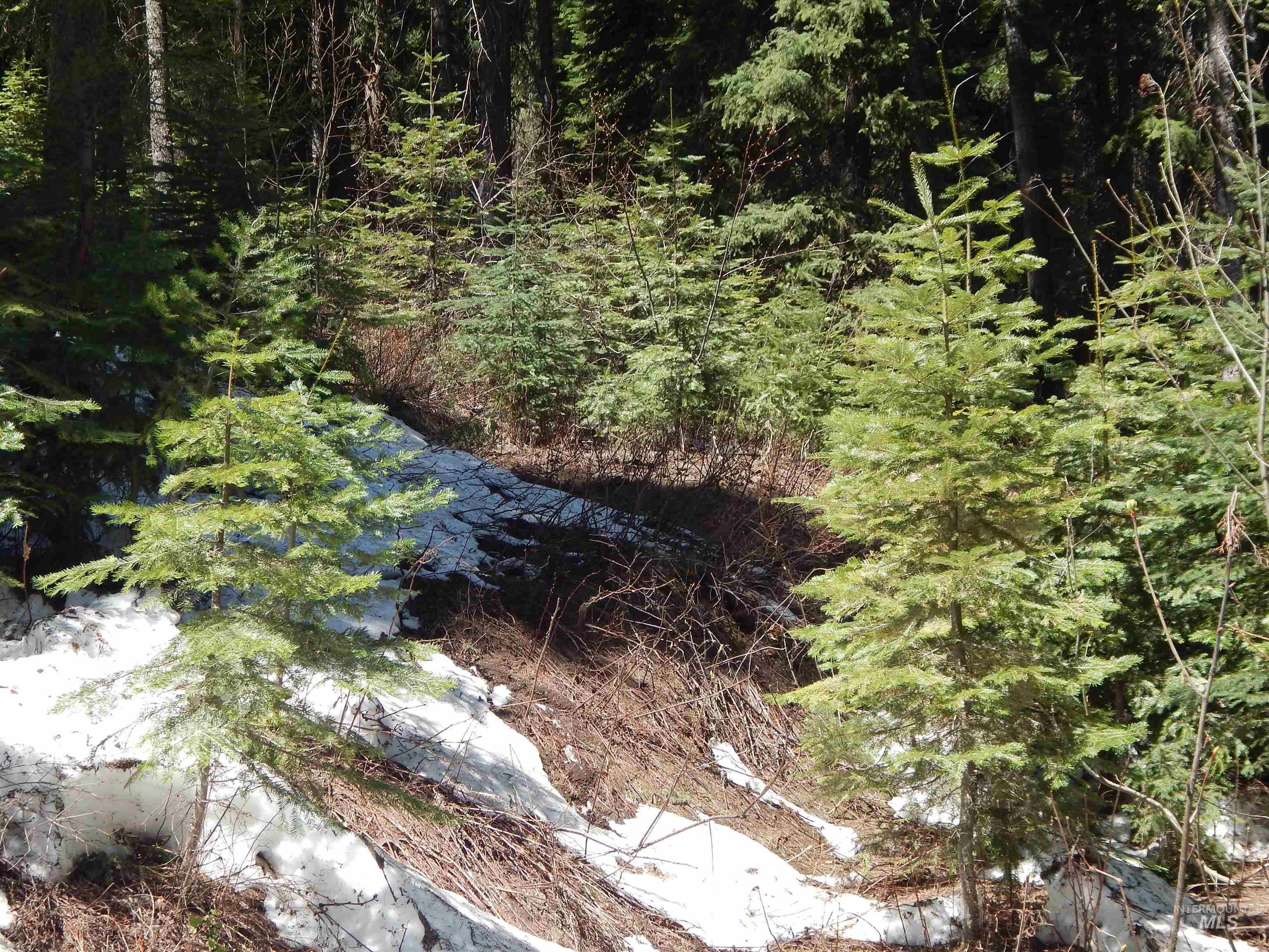 1601 Bear Trail Loop, Donnelly, Idaho 83615, Land For Sale, Price $199,000,MLS 98983999