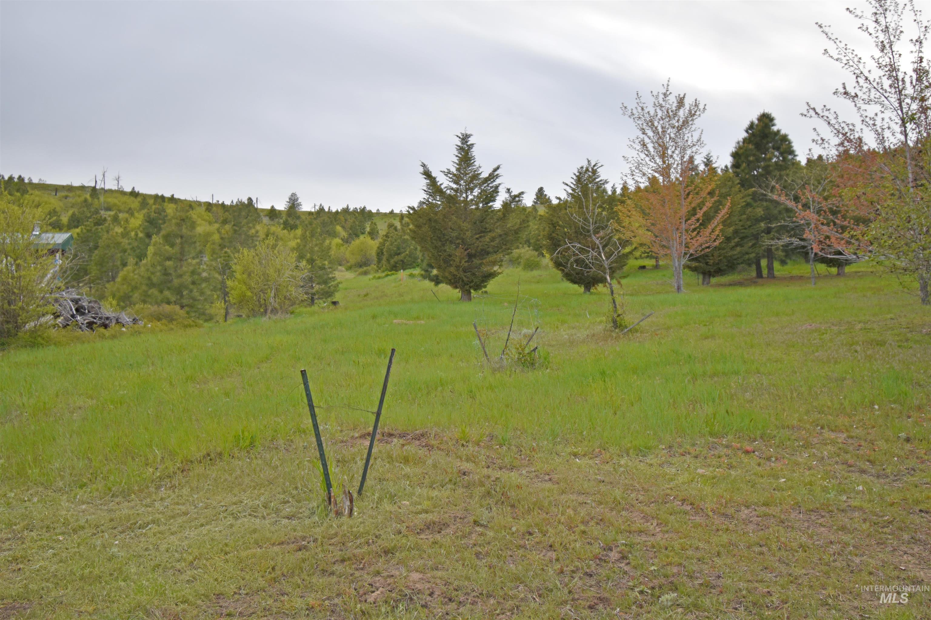 90 Fireman Canyon Road, Pomeroy, Washington 99347, 3 Bedrooms, 2 Bathrooms, Residential For Sale, Price $679,000,MLS 98984006