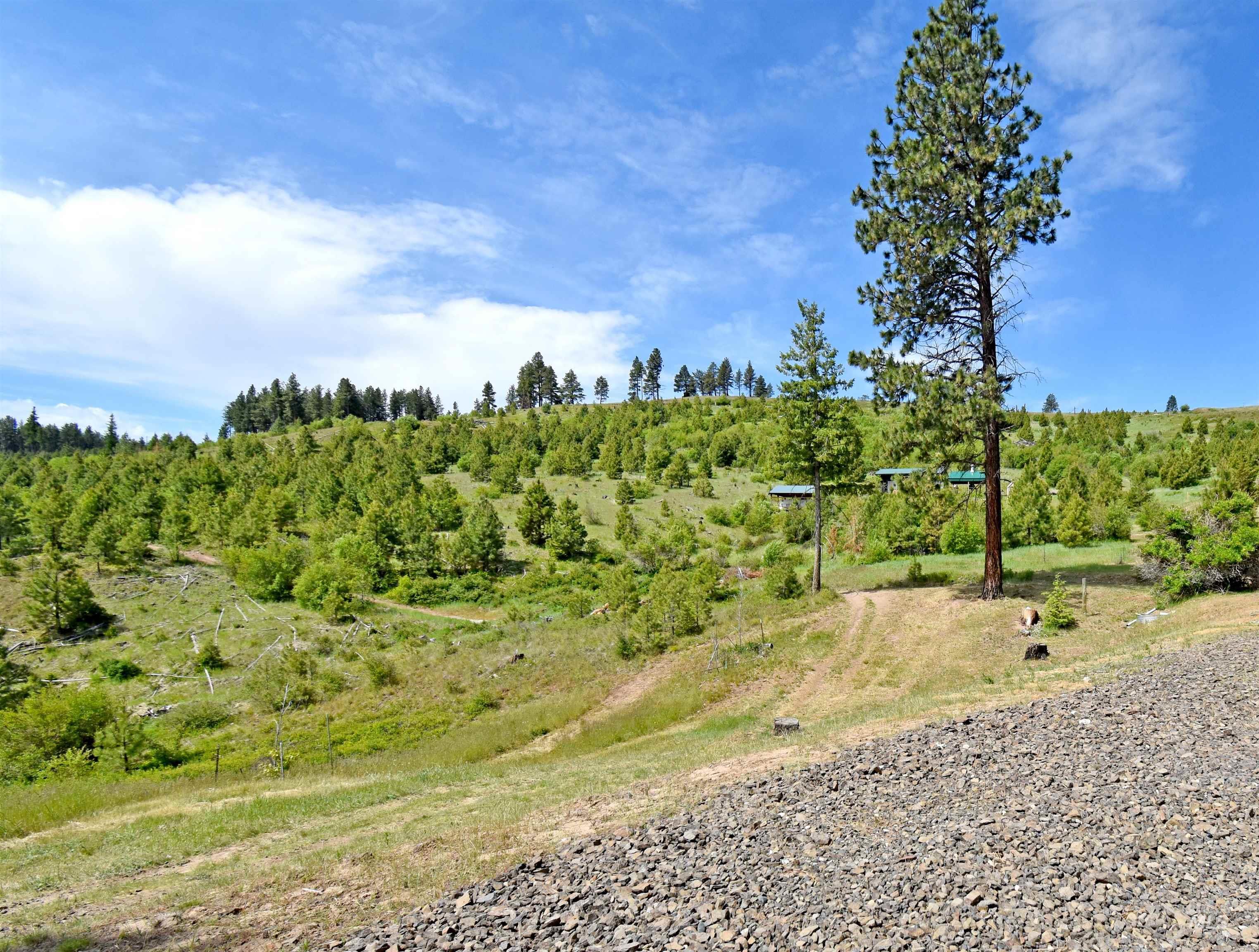 90 Fireman Canyon Road, Pomeroy, Washington 99347, 3 Bedrooms, 2 Bathrooms, Residential For Sale, Price $679,000,MLS 98984006