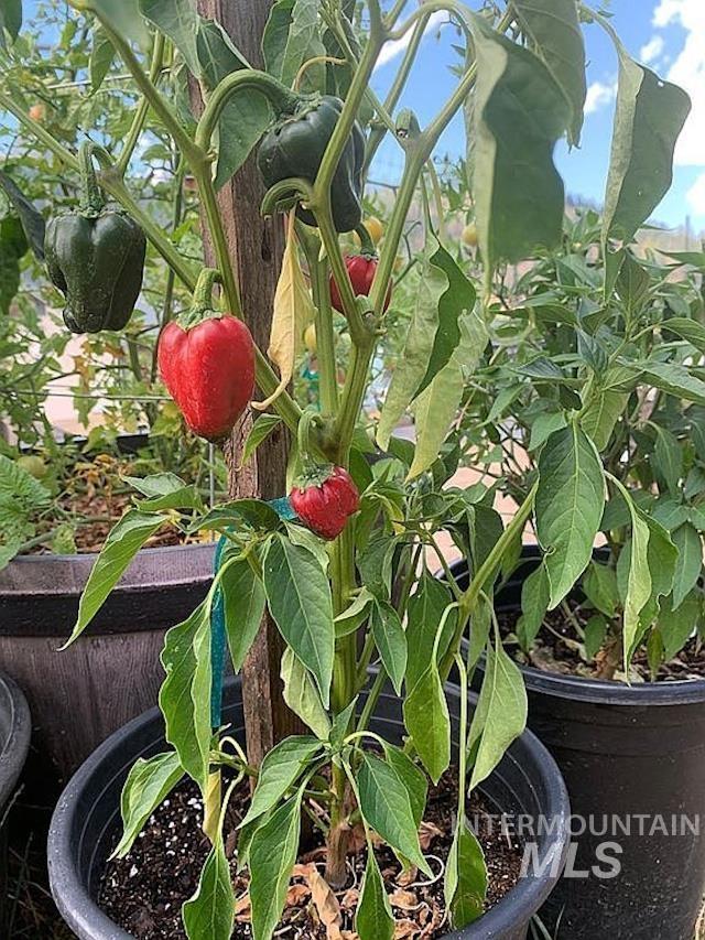 1000 Pardee Rd, Kamiah, Idaho 83536, 3 Bedrooms, 2 Bathrooms, Residential For Sale, Price $650,000, 98984016