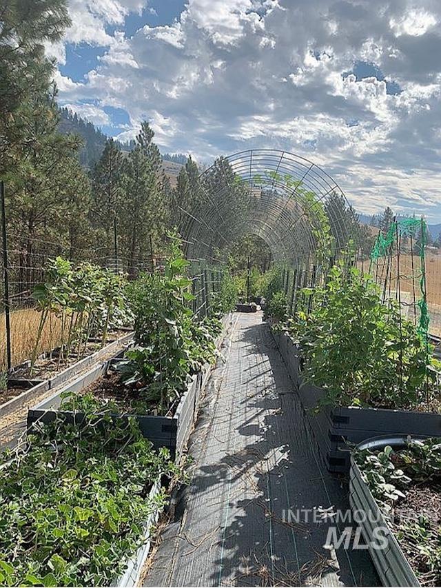 1000 Pardee Rd, Kamiah, Idaho 83536, 3 Bedrooms, 2 Bathrooms, Residential For Sale, Price $650,000, 98984016