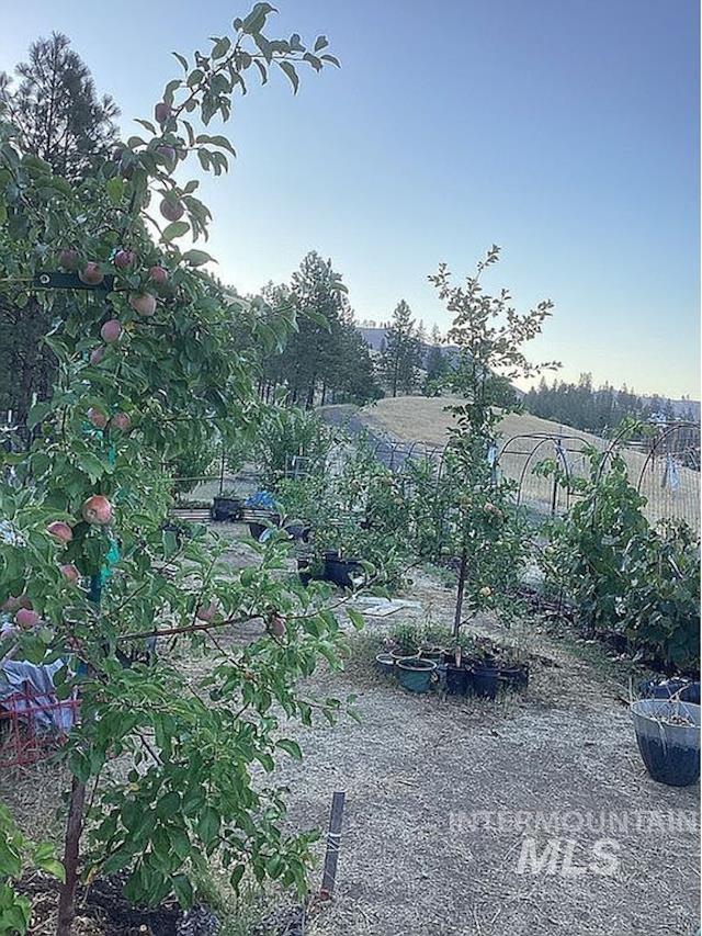 1000 Pardee Rd, Kamiah, Idaho 83536, 3 Bedrooms, 2 Bathrooms, Residential For Sale, Price $650,000, 98984016