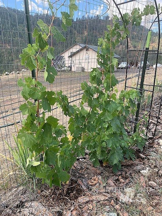 1000 Pardee Rd, Kamiah, Idaho 83536, 3 Bedrooms, 2 Bathrooms, Residential For Sale, Price $650,000, 98984016