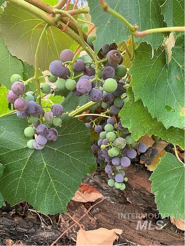 1000 Pardee Rd, Kamiah, Idaho 83536, 3 Bedrooms, 2 Bathrooms, Residential For Sale, Price $650,000, 98984016