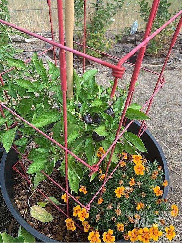 1000 Pardee Rd, Kamiah, Idaho 83536, 3 Bedrooms, 2 Bathrooms, Residential For Sale, Price $650,000, 98984016