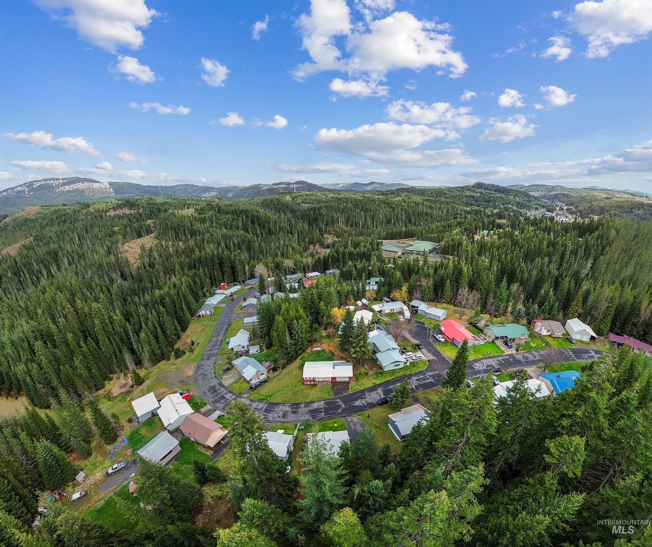 145 Timberline Dr., Pierce, Idaho 83546, 4 Bedrooms, 2 Bathrooms, Residential For Sale, Price $225,000,MLS 98984036