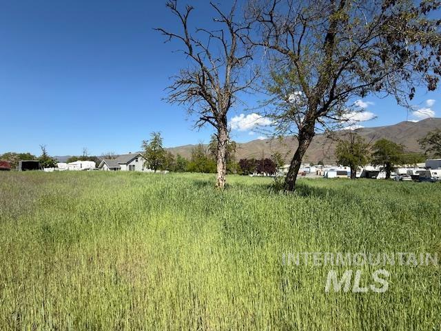 1327 Poplar, Clarkston, Washington 99403, Land For Sale, Price $160,000, 98984039