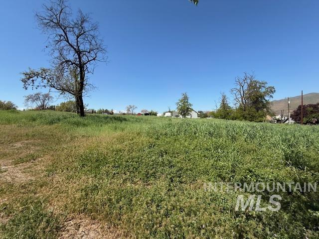 1327 Poplar, Clarkston, Washington 99403, Land For Sale, Price $160,000, 98984039