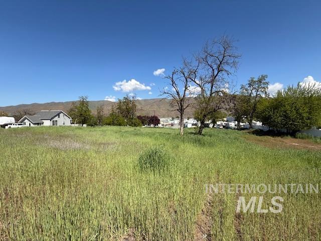 1327 Poplar, Clarkston, Washington 99403, Land For Sale, Price $160,000, 98984039