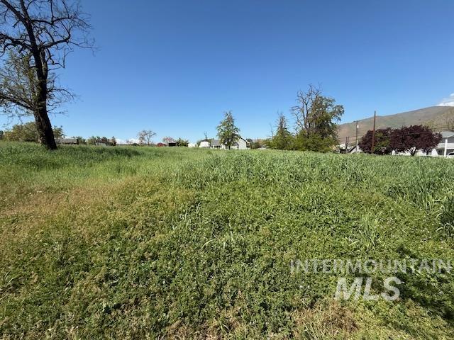 1327 Poplar, Clarkston, Washington 99403, Land For Sale, Price $160,000, 98984039