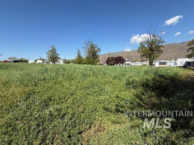 1327 Poplar, Clarkston, Washington 99403, Land For Sale, Price $160,000, 98984039