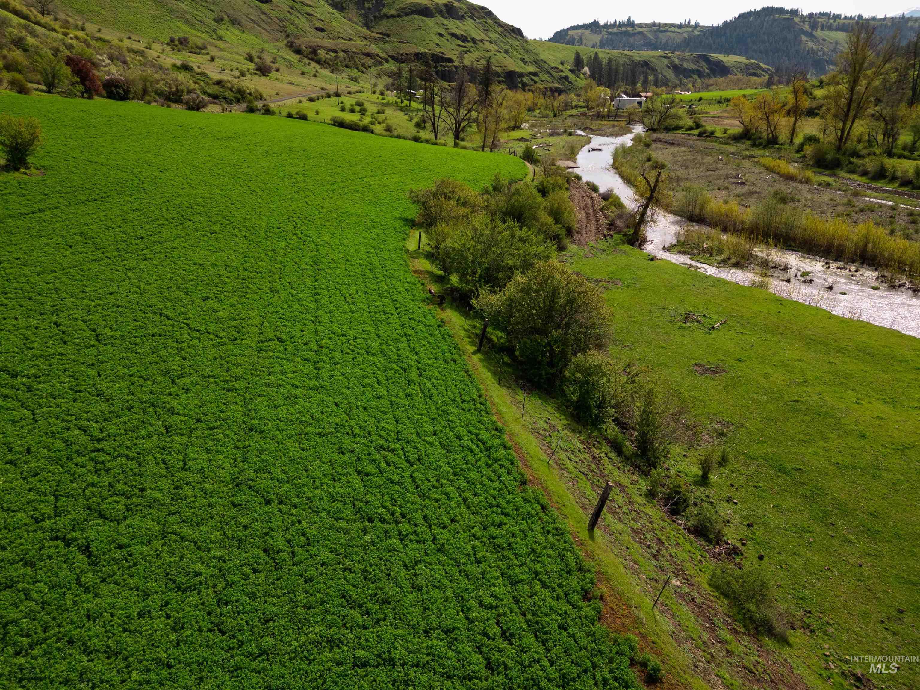 259 Cottonwood Creek Ranch, Stites, Idaho 83552, 4 Bedrooms, 2 Bathrooms, Farm & Ranch For Sale, Price $2,779,000,MLS 98984066