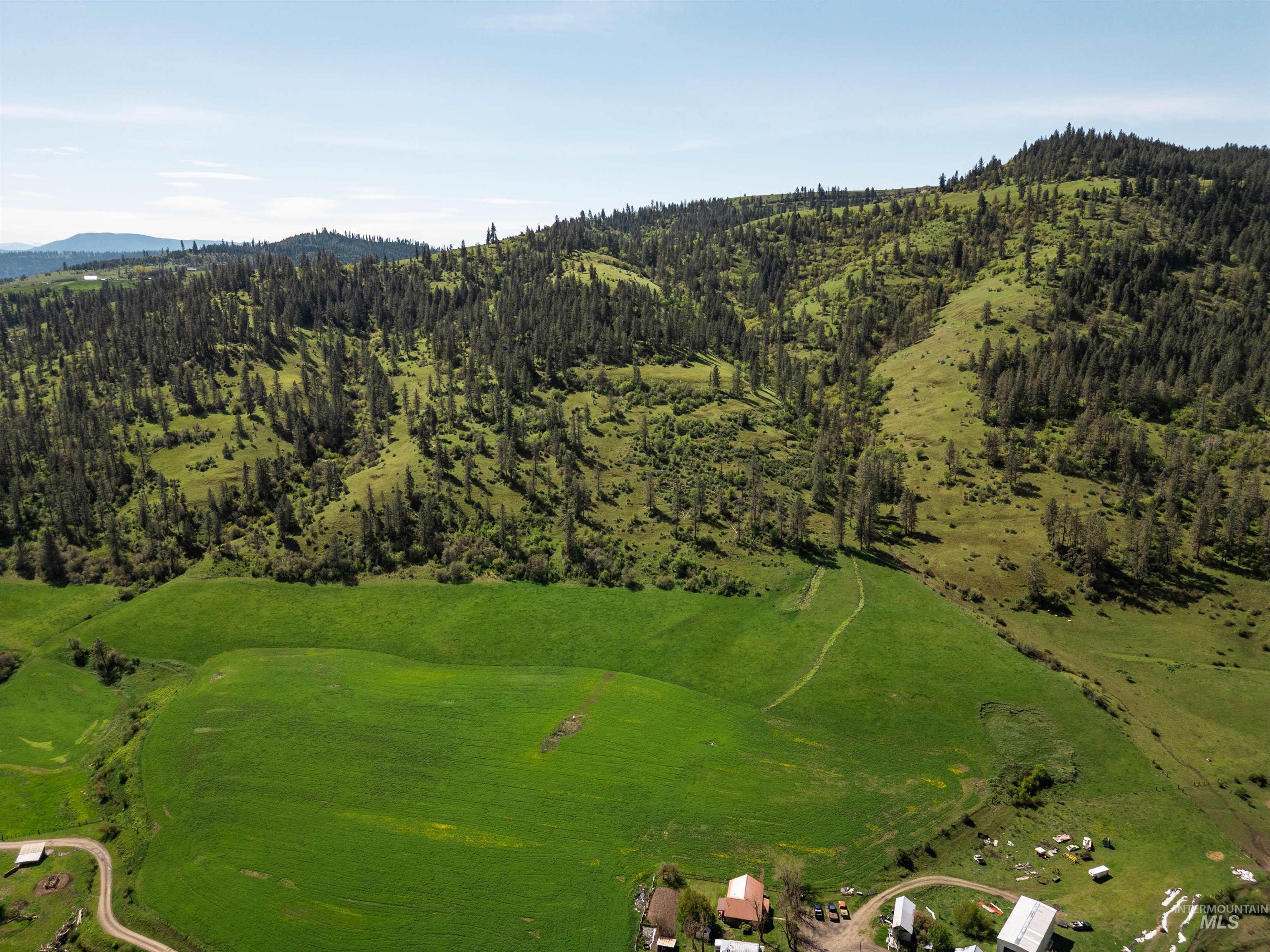 259 Cottonwood Creek Ranch, Stites, Idaho 83552, 4 Bedrooms, 2 Bathrooms, Farm & Ranch For Sale, Price $2,779,000,MLS 98984066