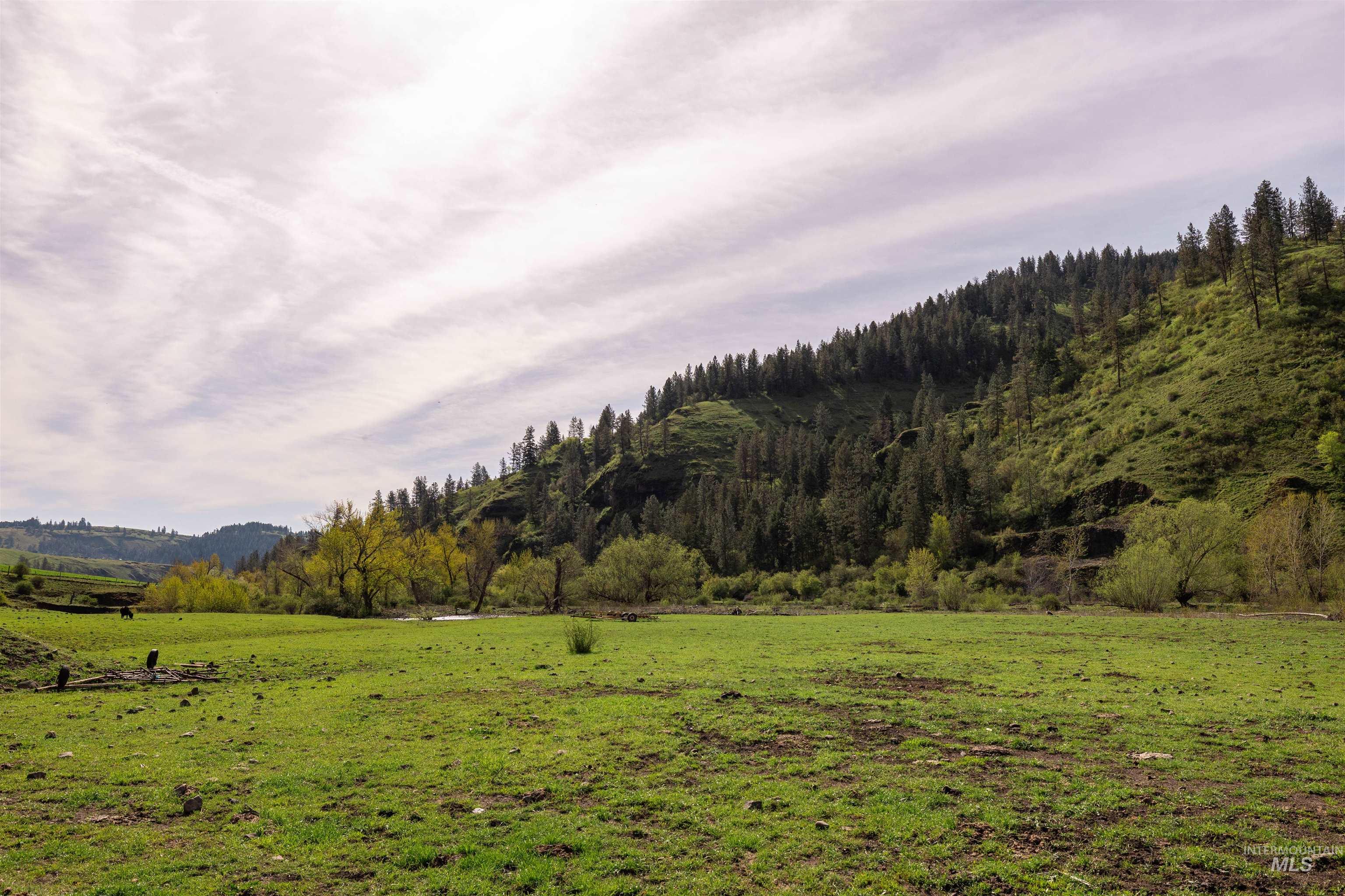 259 Cottonwood Creek Ranch, Stites, Idaho 83552, 4 Bedrooms, 2 Bathrooms, Farm & Ranch For Sale, Price $2,779,000,MLS 98984066