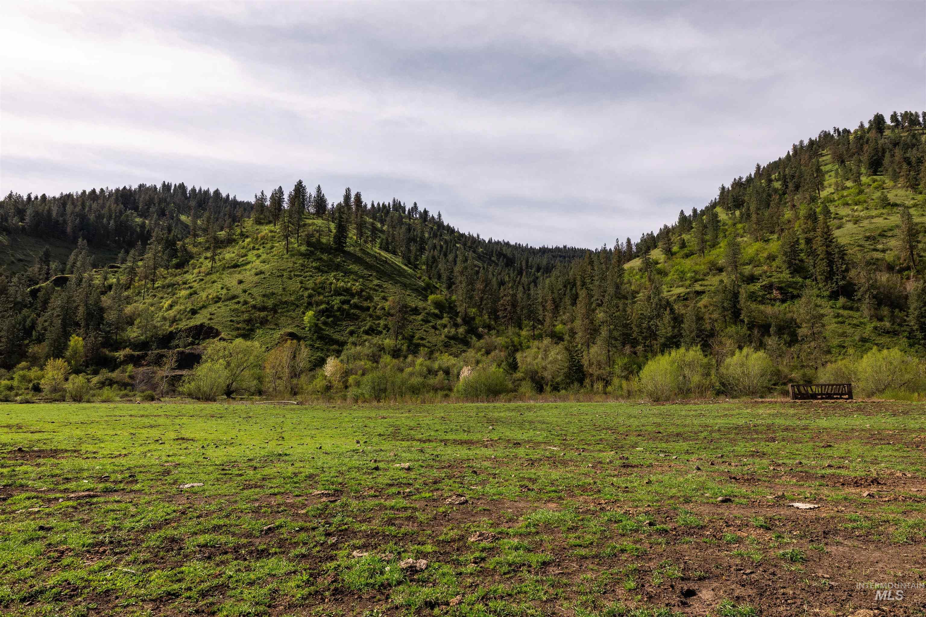 259 Cottonwood Creek Ranch, Stites, Idaho 83552, 4 Bedrooms, 2 Bathrooms, Farm & Ranch For Sale, Price $2,779,000,MLS 98984066