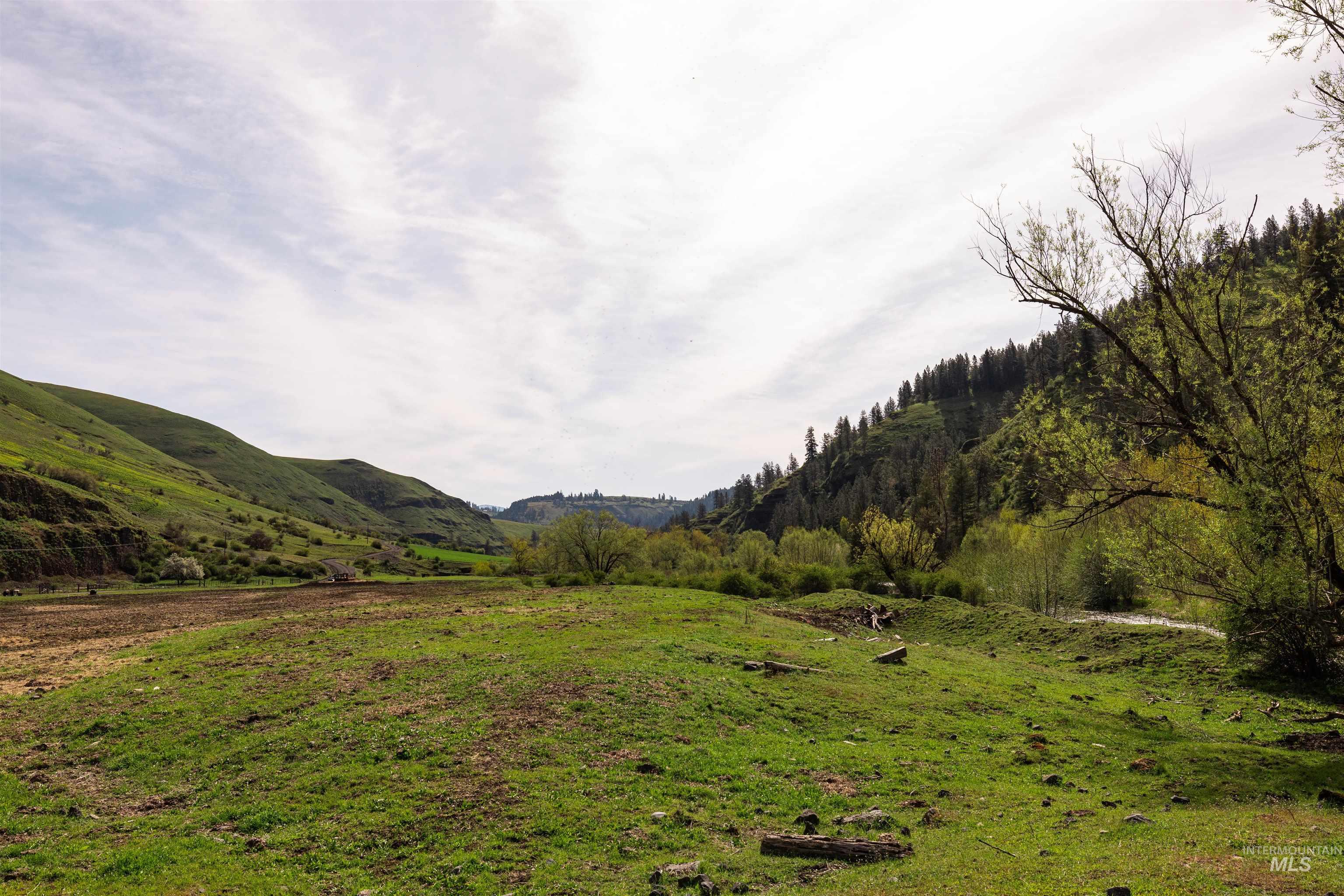 259 Cottonwood Creek Ranch, Stites, Idaho 83552, 4 Bedrooms, 2 Bathrooms, Farm & Ranch For Sale, Price $2,779,000,MLS 98984066