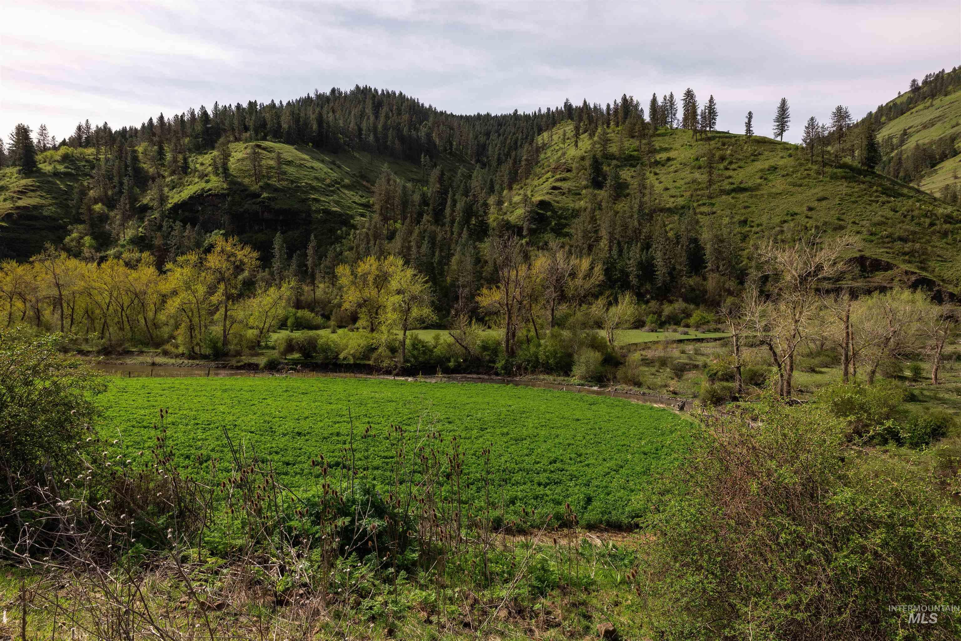 259 Cottonwood Creek Ranch, Stites, Idaho 83552, 4 Bedrooms, 2 Bathrooms, Farm & Ranch For Sale, Price $2,779,000,MLS 98984066