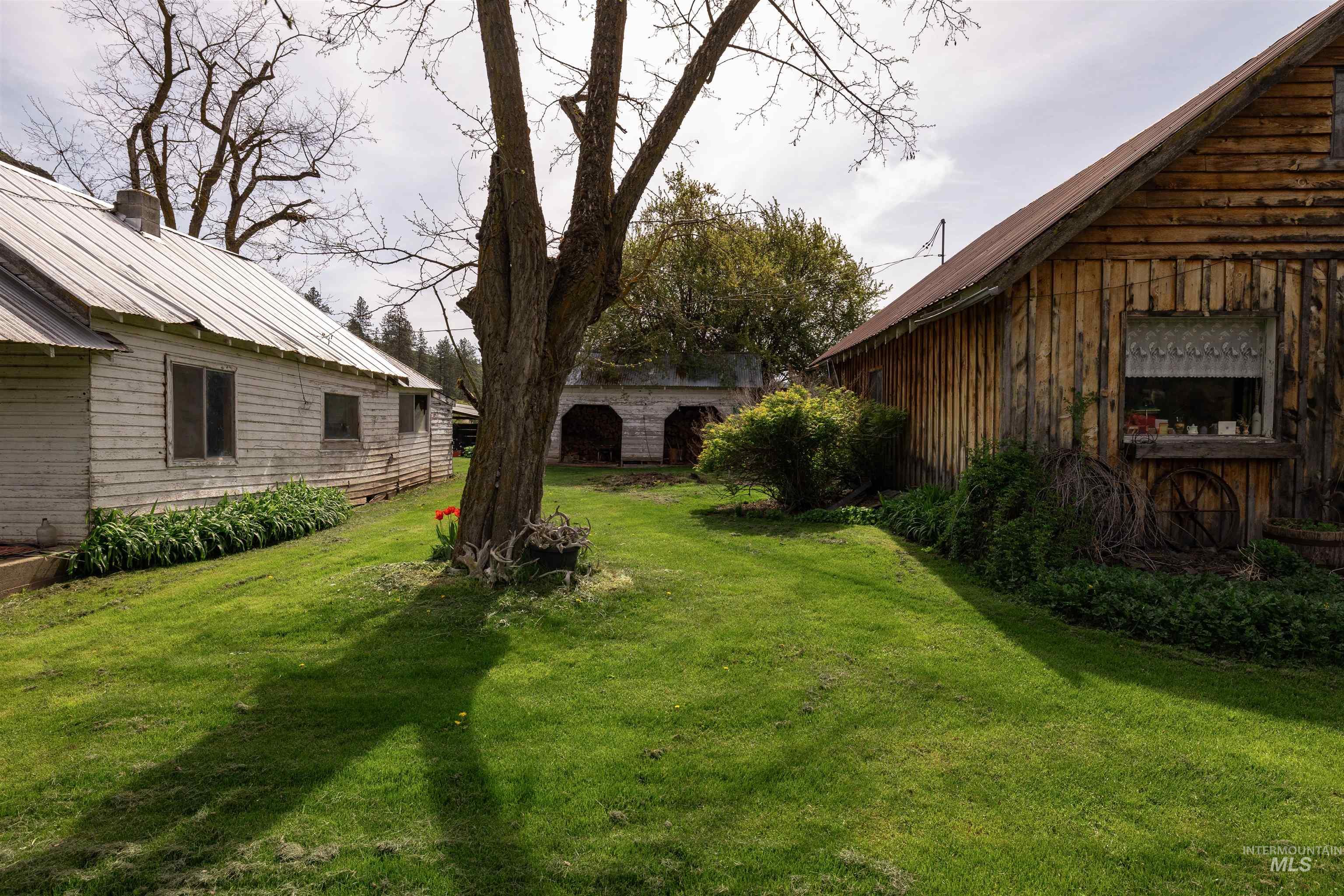 259 Cottonwood Creek Ranch, Stites, Idaho 83552, 4 Bedrooms, 2 Bathrooms, Farm & Ranch For Sale, Price $2,779,000,MLS 98984066