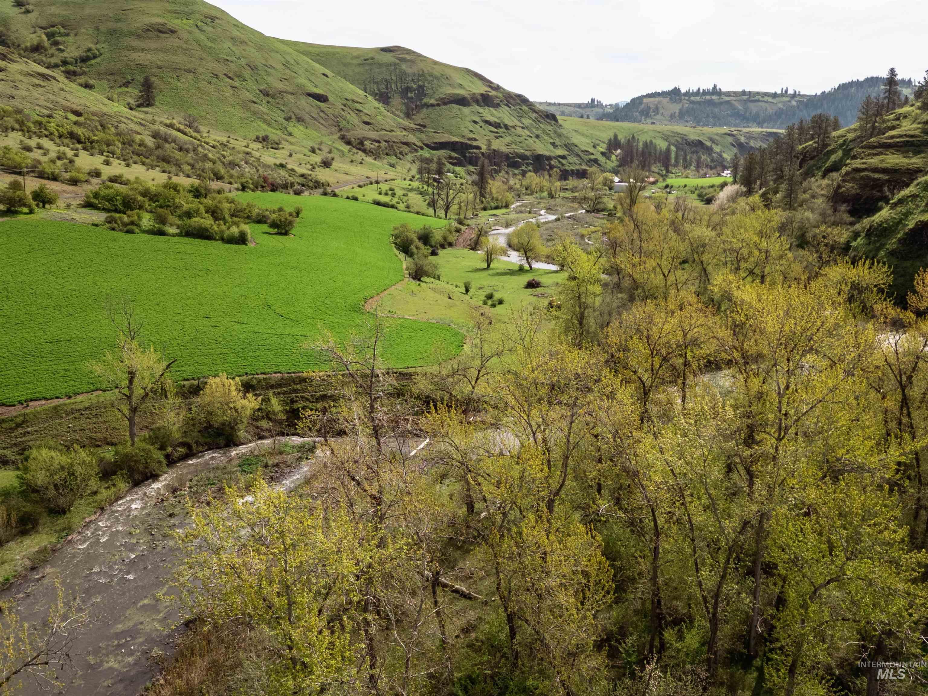 259 Cottonwood Creek Ranch, Stites, Idaho 83552, 4 Bedrooms, 2 Bathrooms, Farm & Ranch For Sale, Price $2,779,000,MLS 98984066