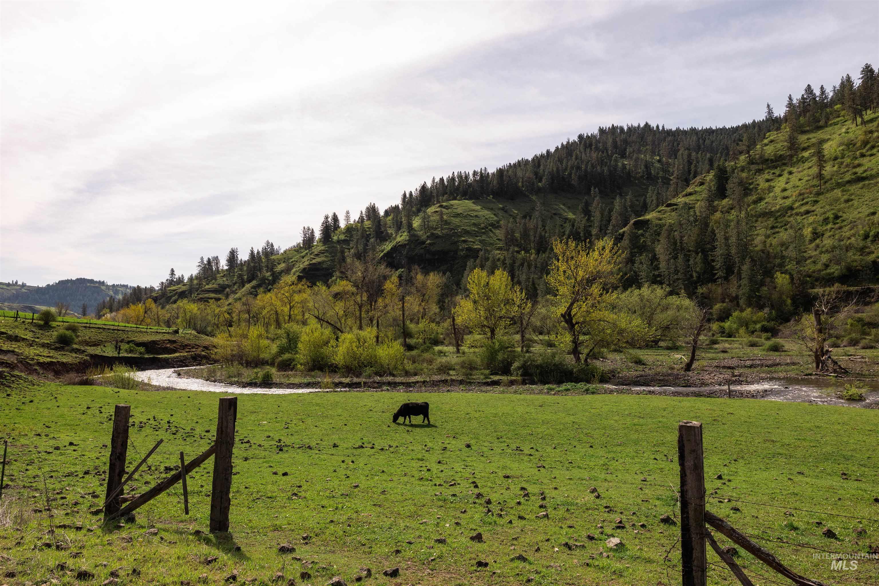259 Cottonwood Creek Ranch, Stites, Idaho 83552, 4 Bedrooms, 2 Bathrooms, Farm & Ranch For Sale, Price $2,779,000,MLS 98984066