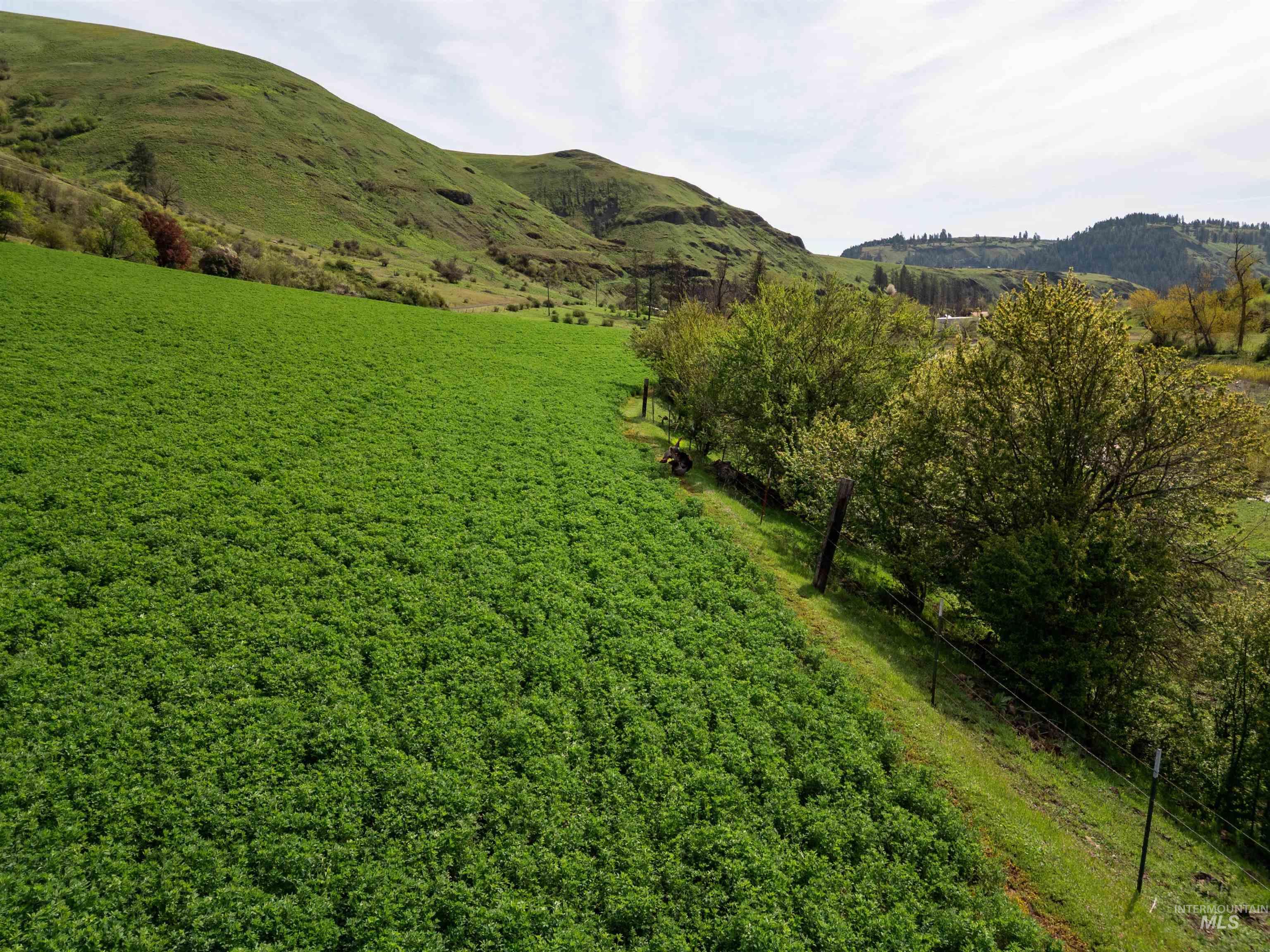 259 Cottonwood Creek Ranch, Stites, Idaho 83552, 4 Bedrooms, 2 Bathrooms, Farm & Ranch For Sale, Price $2,779,000,MLS 98984066